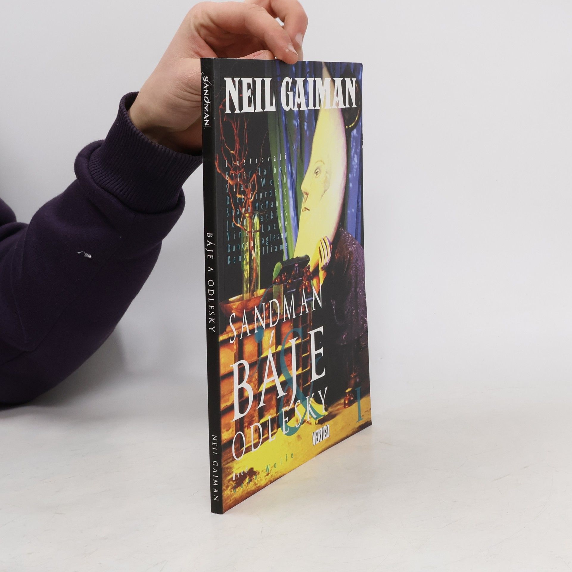 Neil Gaiman Báje & odlesky I