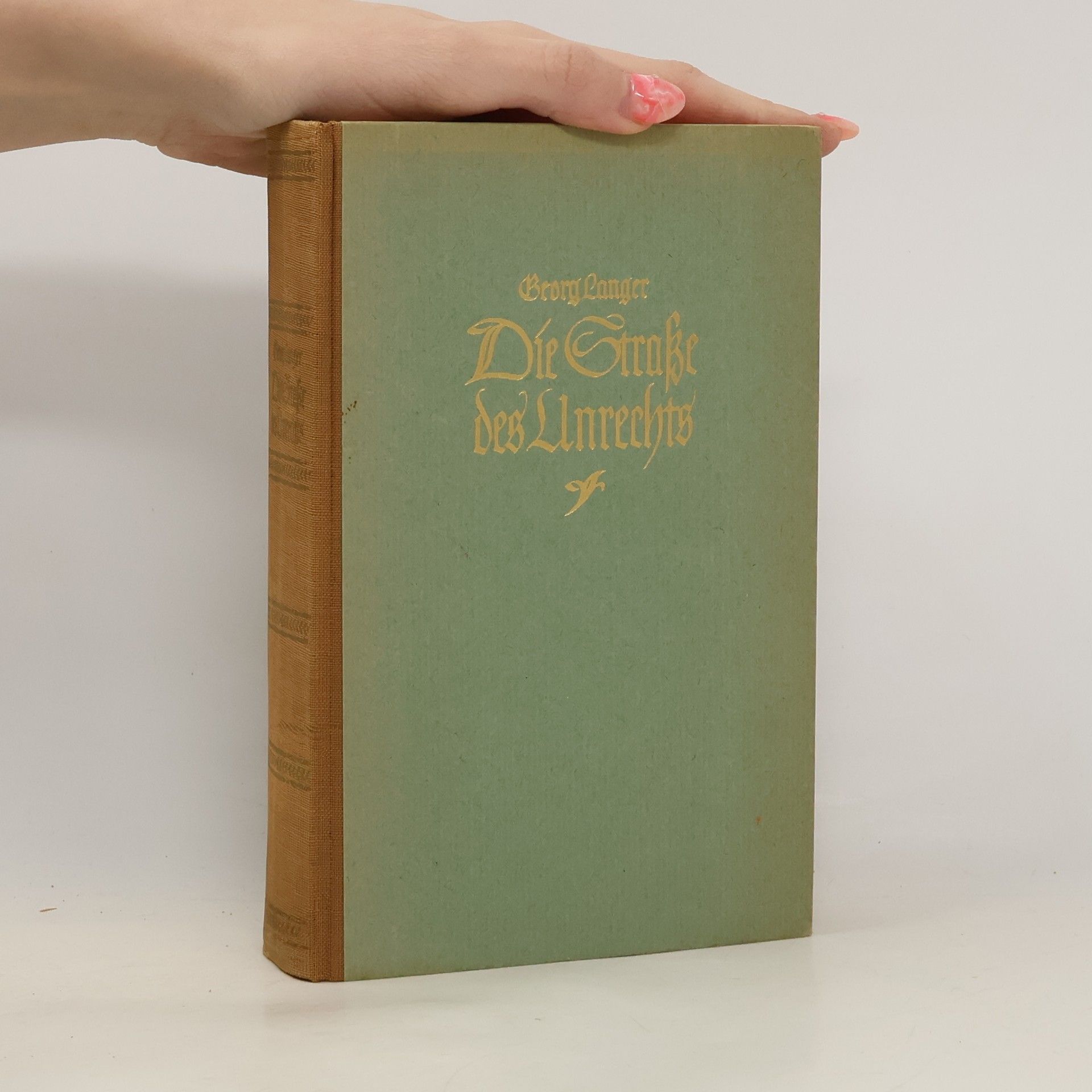 Georg Langer Die Straße des Unrechts