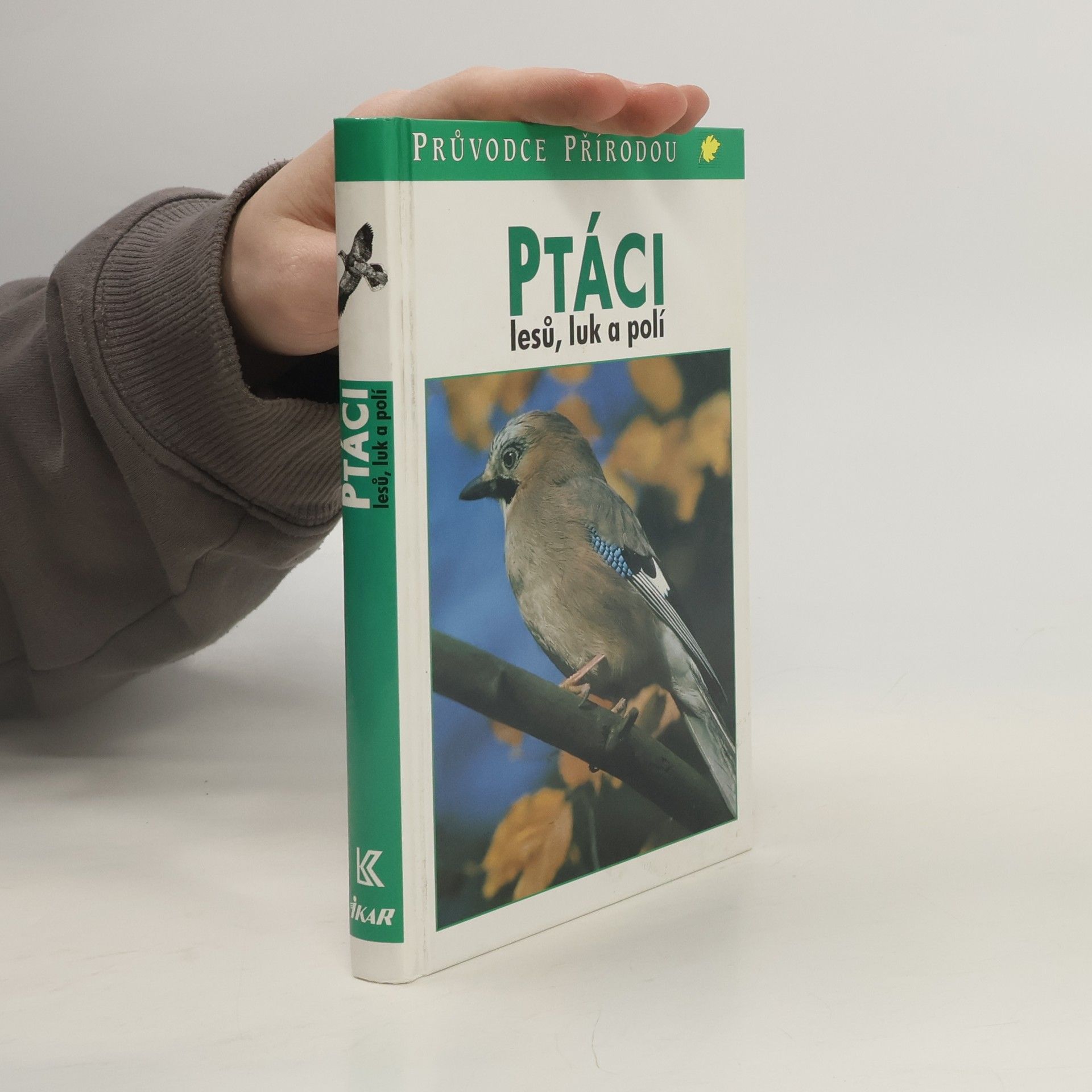 Sauer Frieder Ptáci lesů, luk a polí