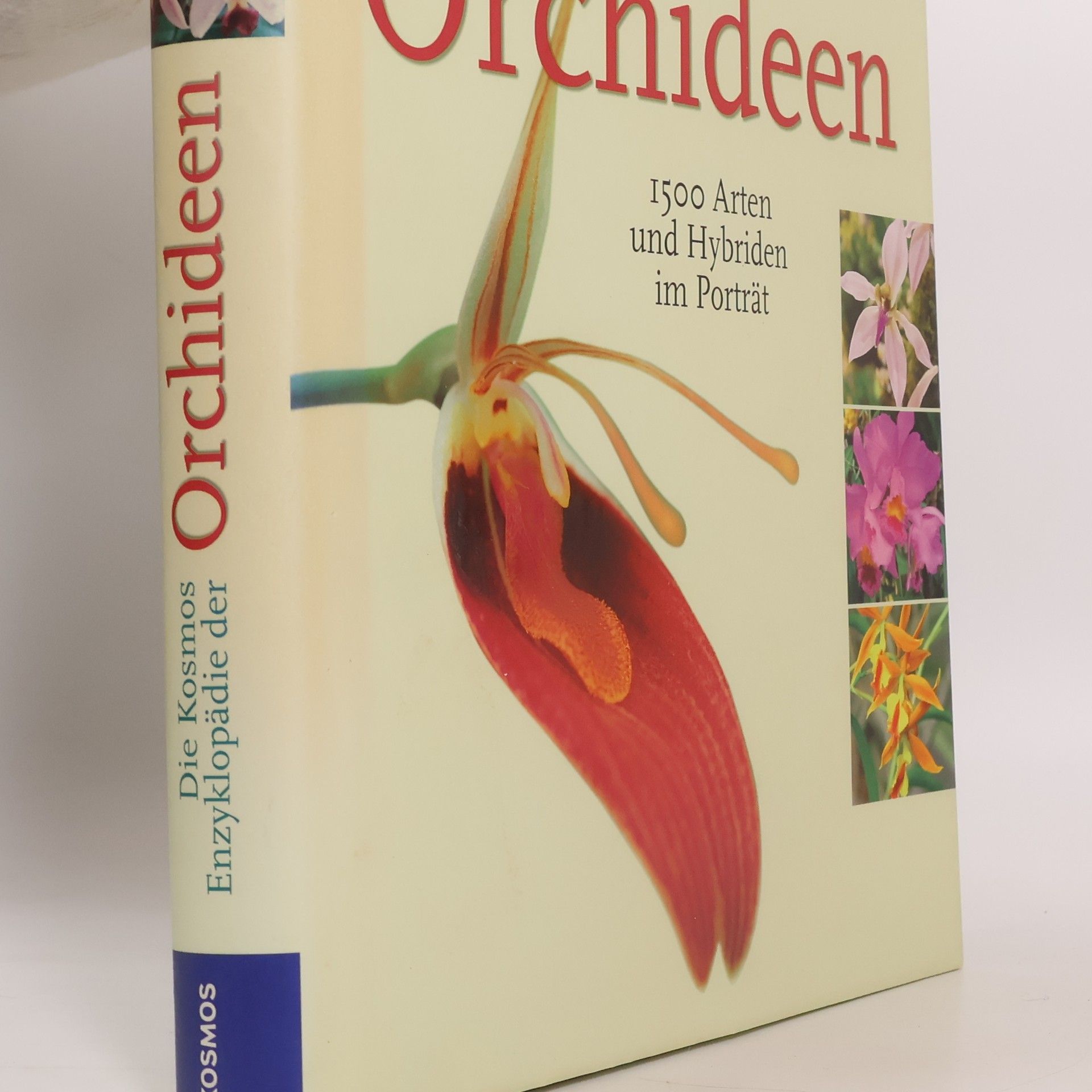 Folko Kullmann Die Kosmos-Enzyklopädie der Orchideen