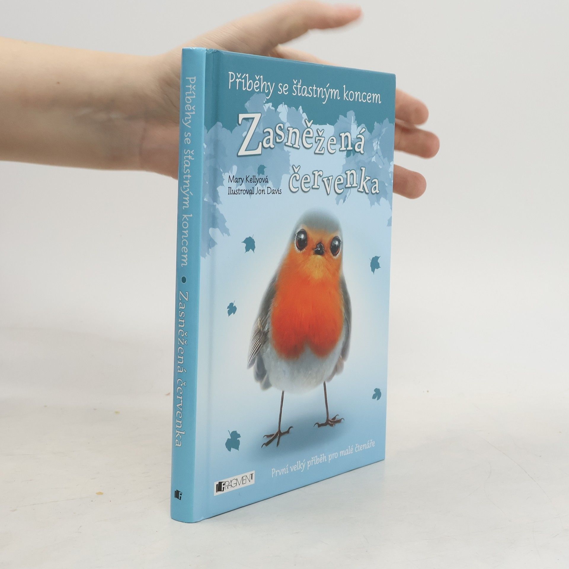 Mary Kelly Zasněžená červenka