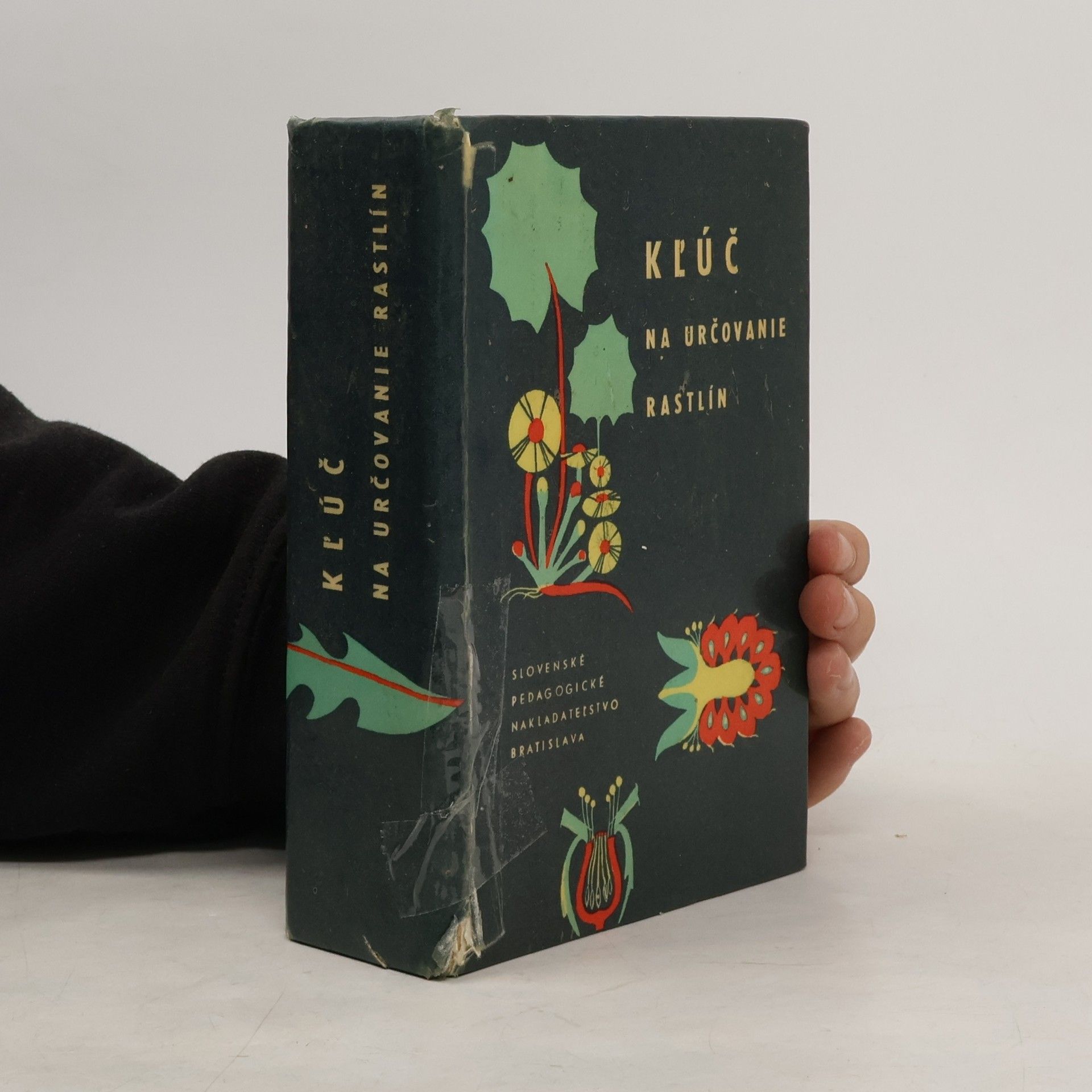 Kolektiv autorů Kľúč na určovanie rastlín