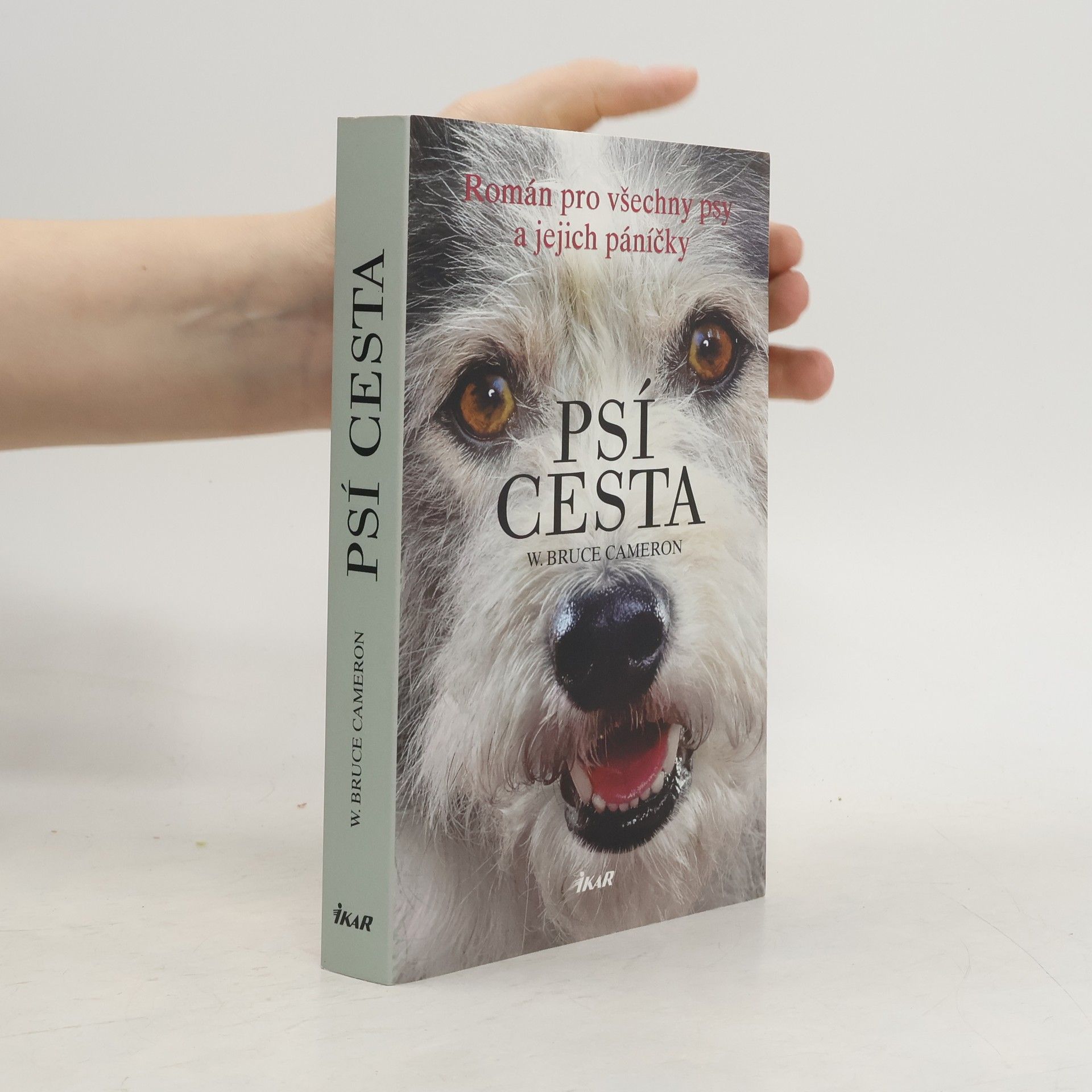W. Bruce Cameron Psí cesta