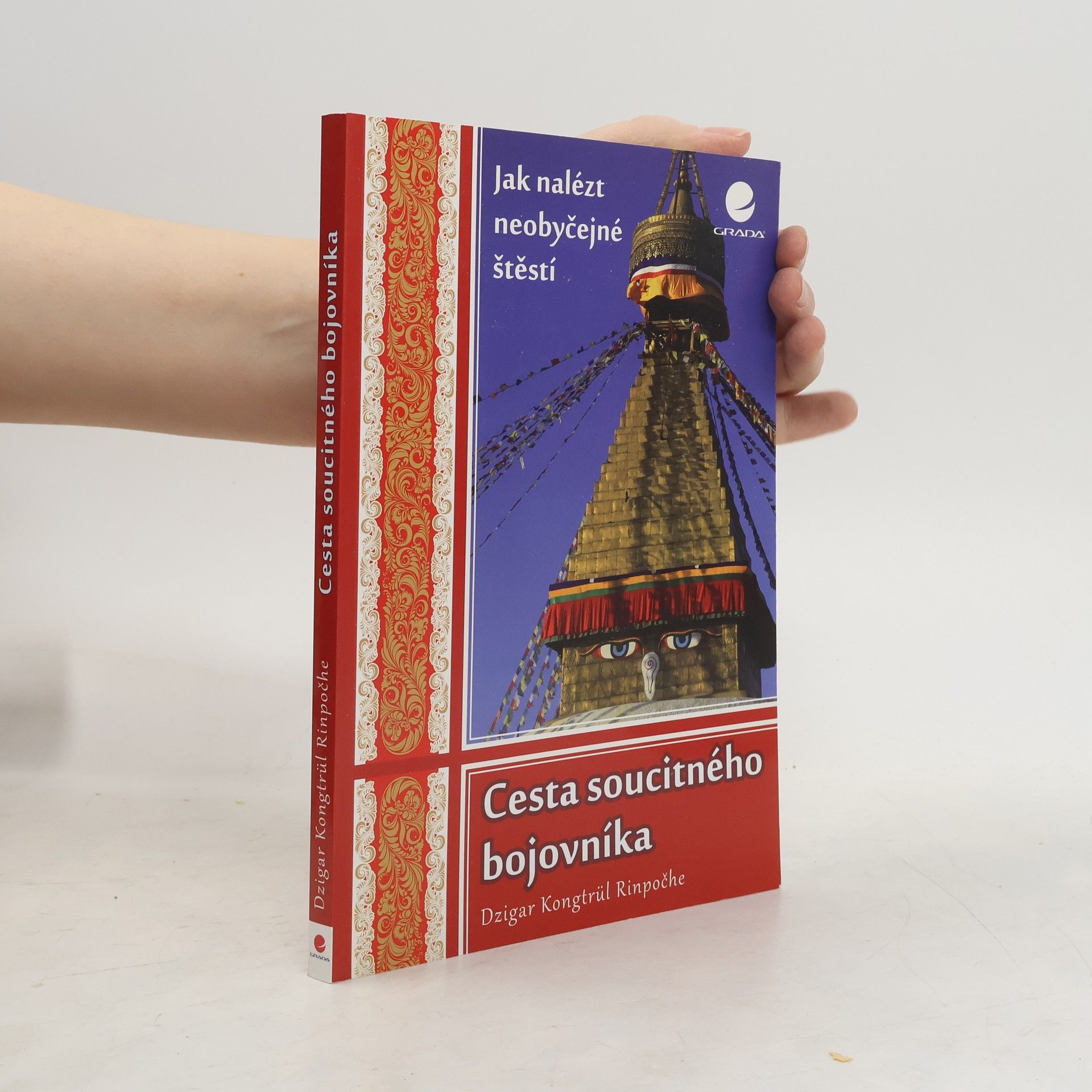 Dzigar Kongtrül Rinpoche Cesta soucitného bojovníka. Jak nalézt neobyčejné štěstí