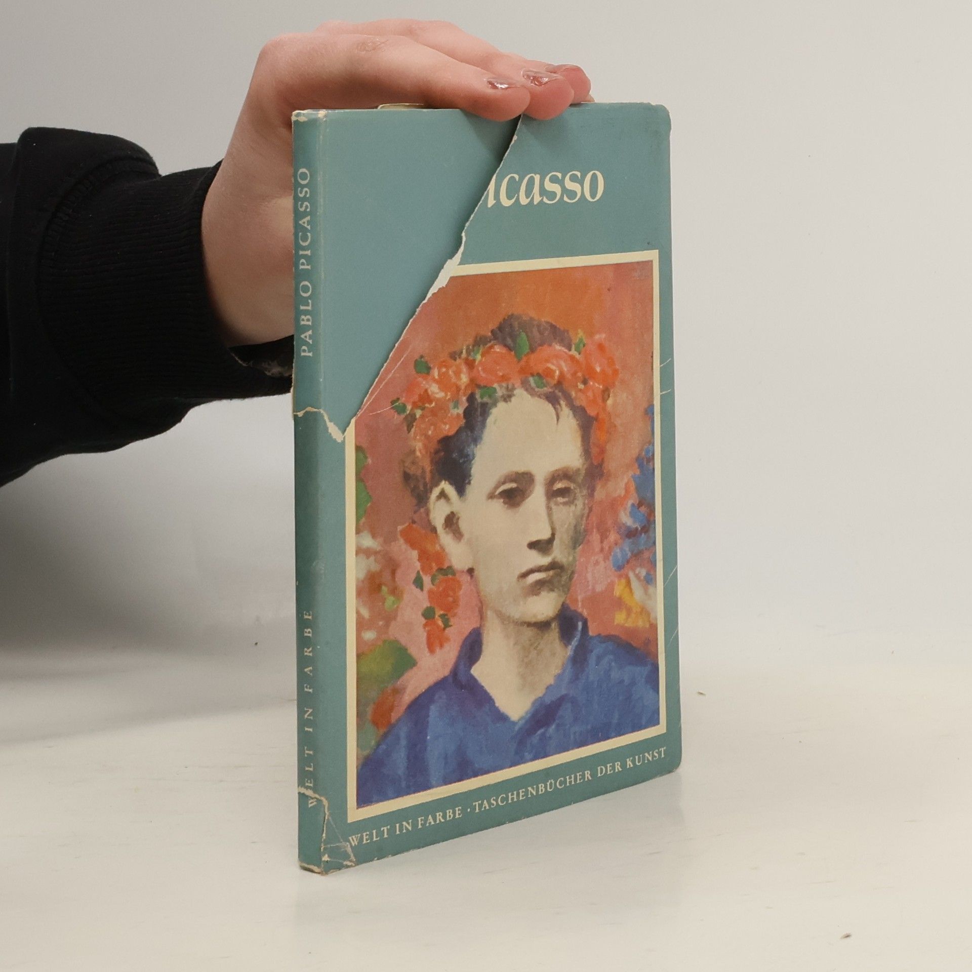 Autorenkollektiv Picasso