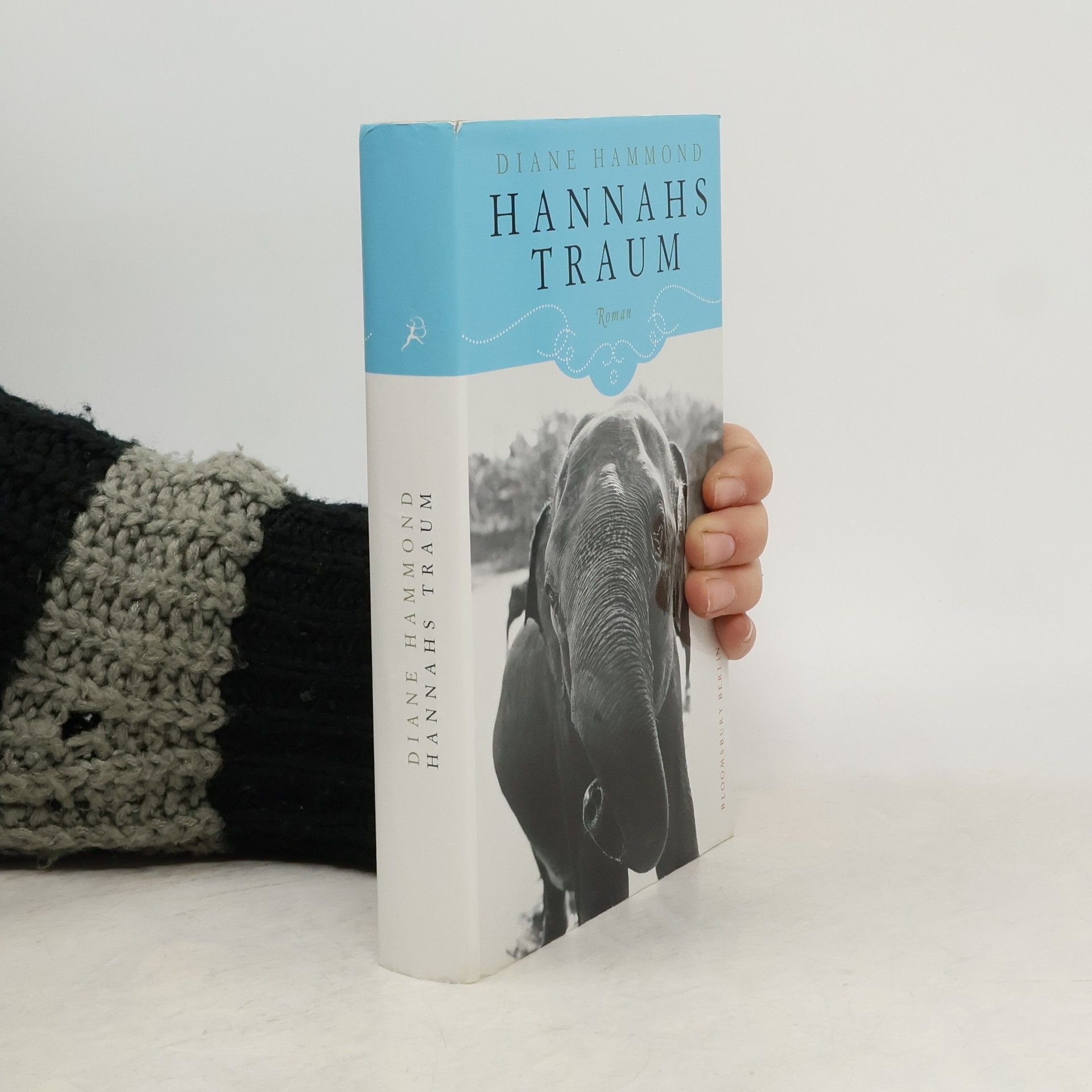 Diane Hammond Hannahs Traum