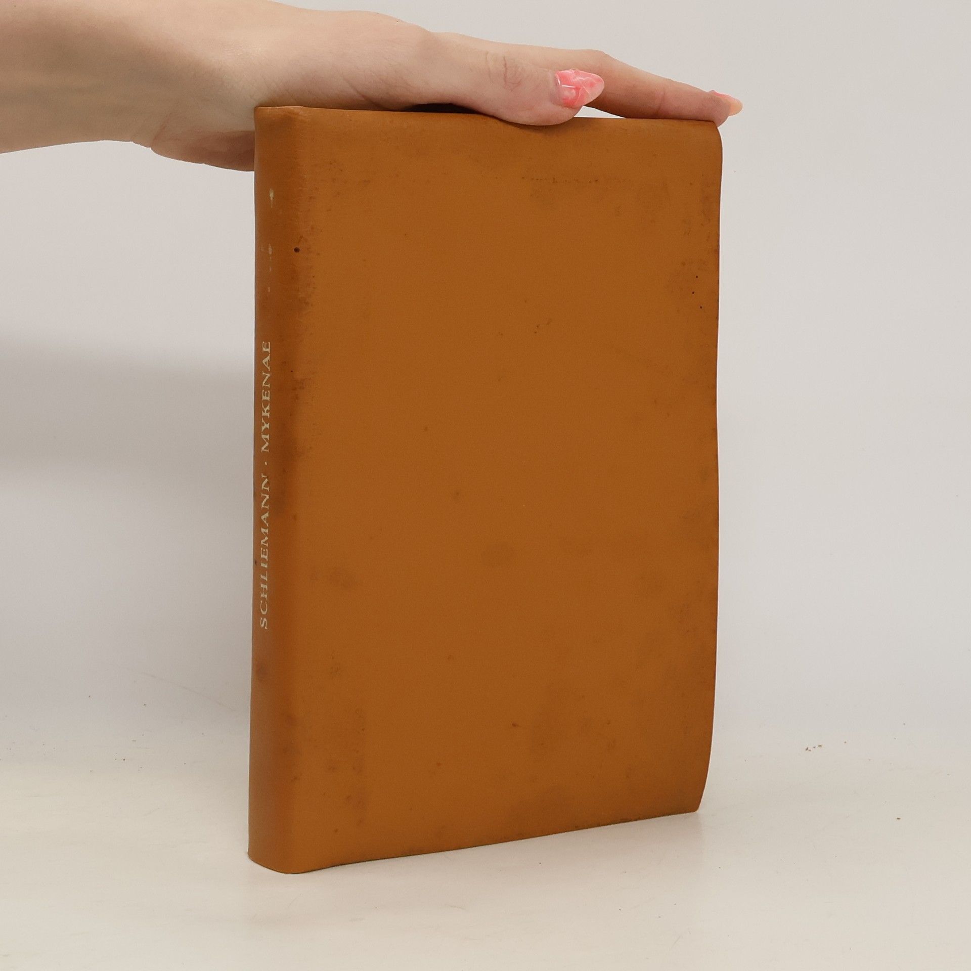 Heinrich Schliemann Mykenae