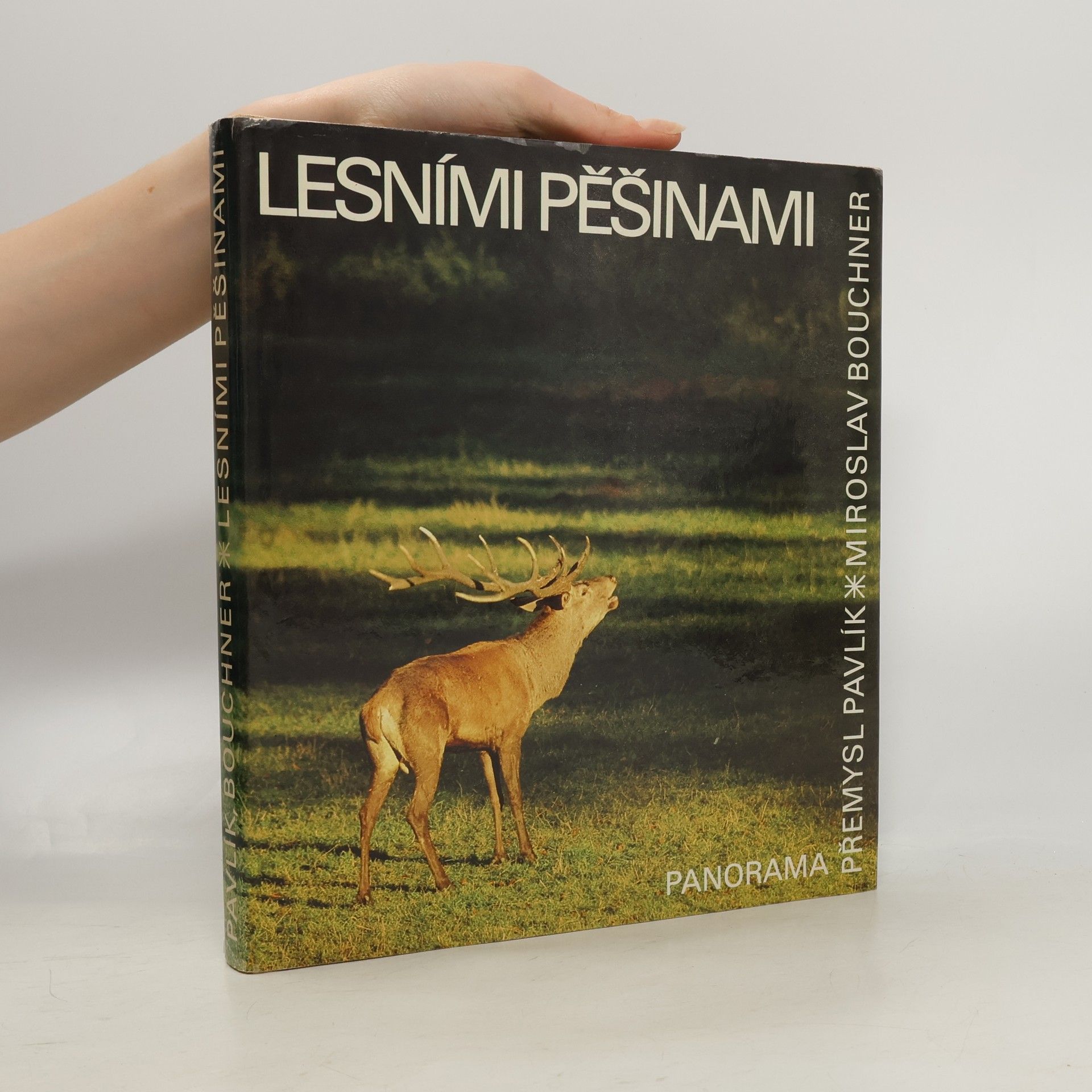 Přemysl Pavlík Lesními pěšinami