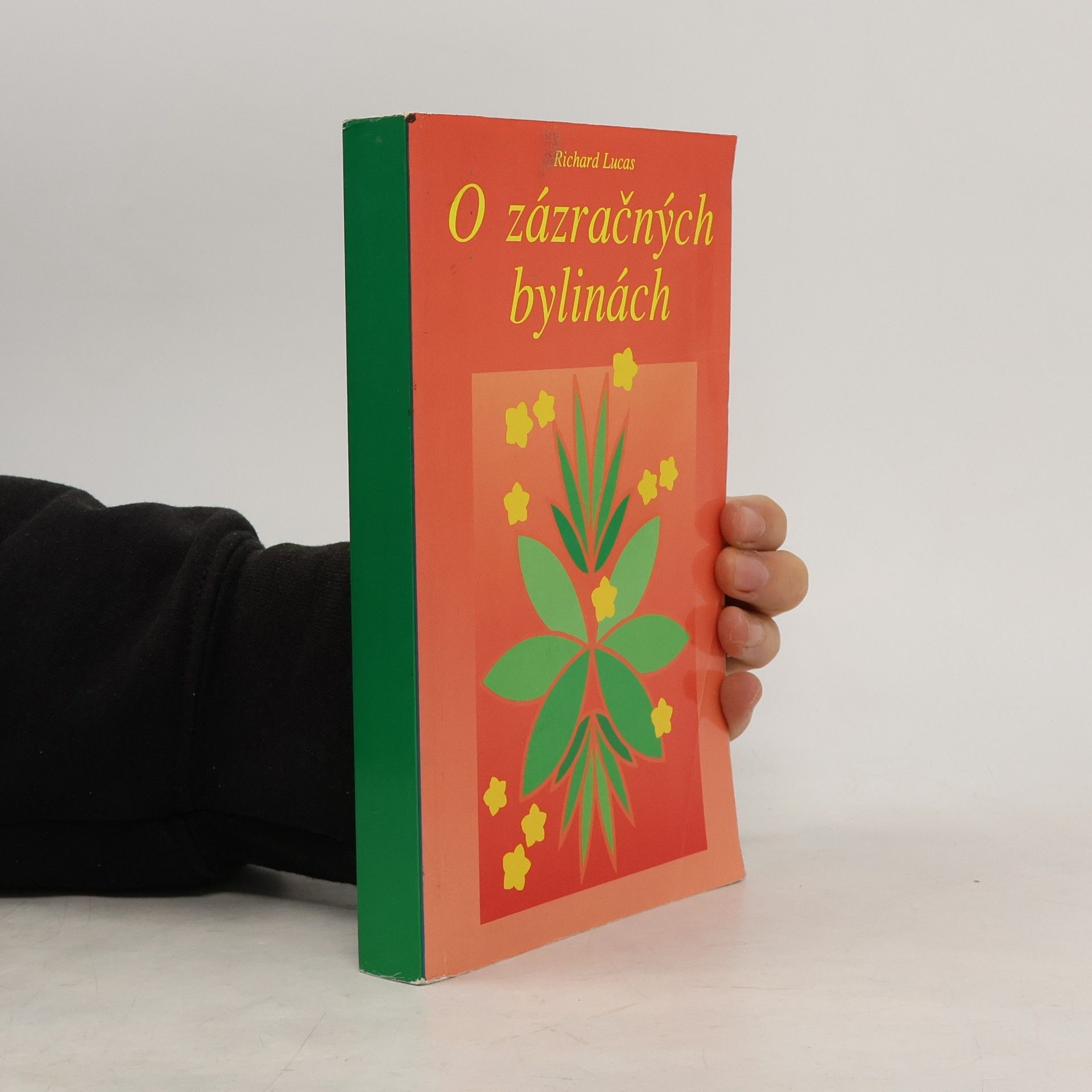 O zázračných bylinkách