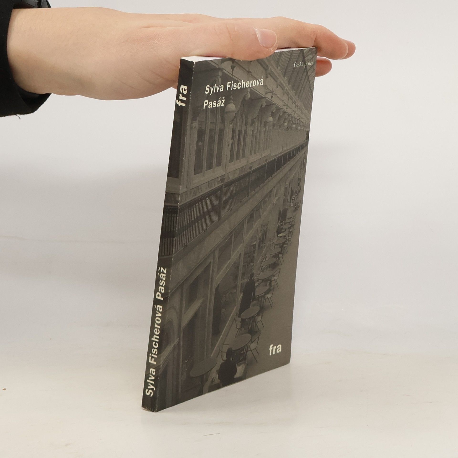 Sylva Fischerová Pasáž