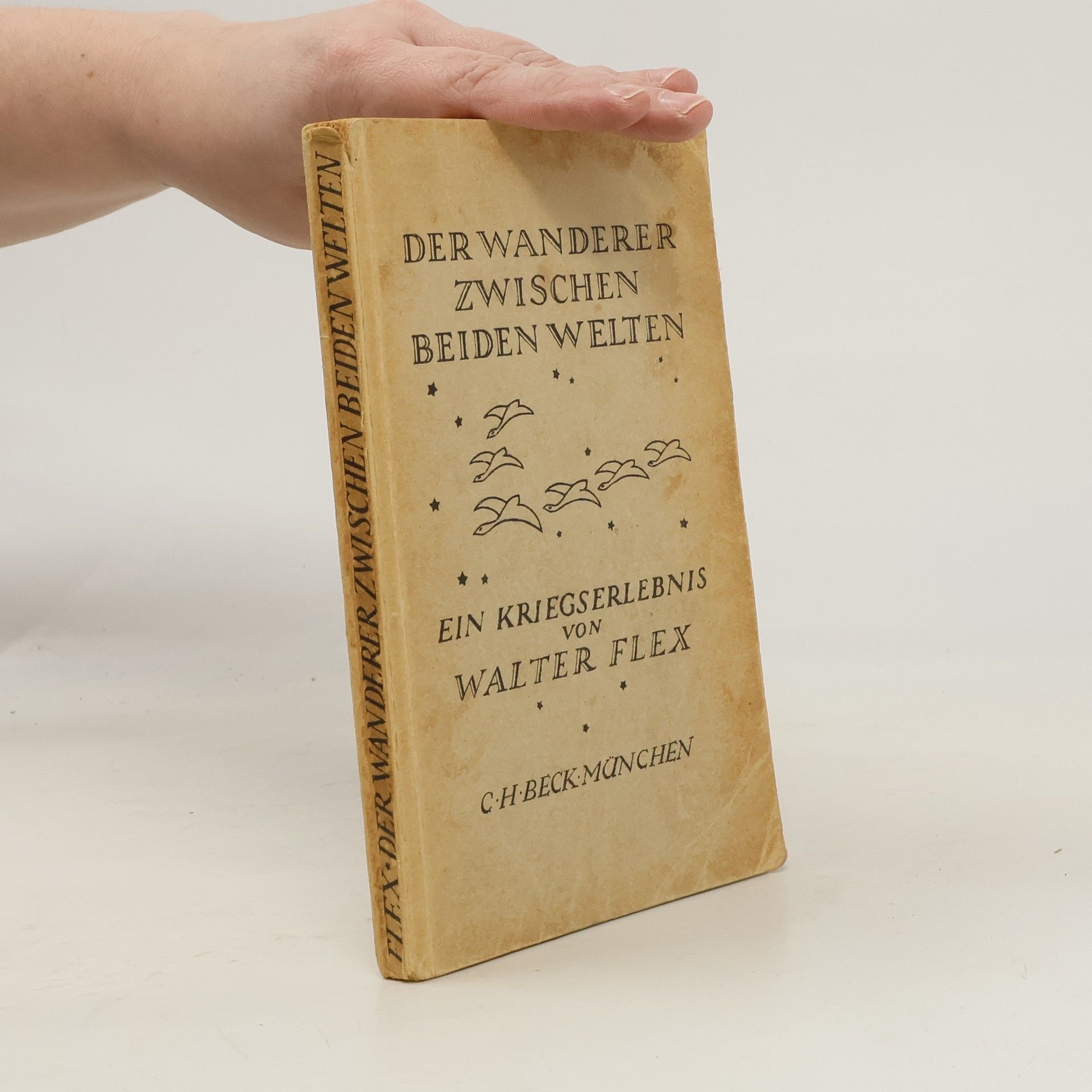 Walter Flex Der Wanderer zwischen beiden Welten