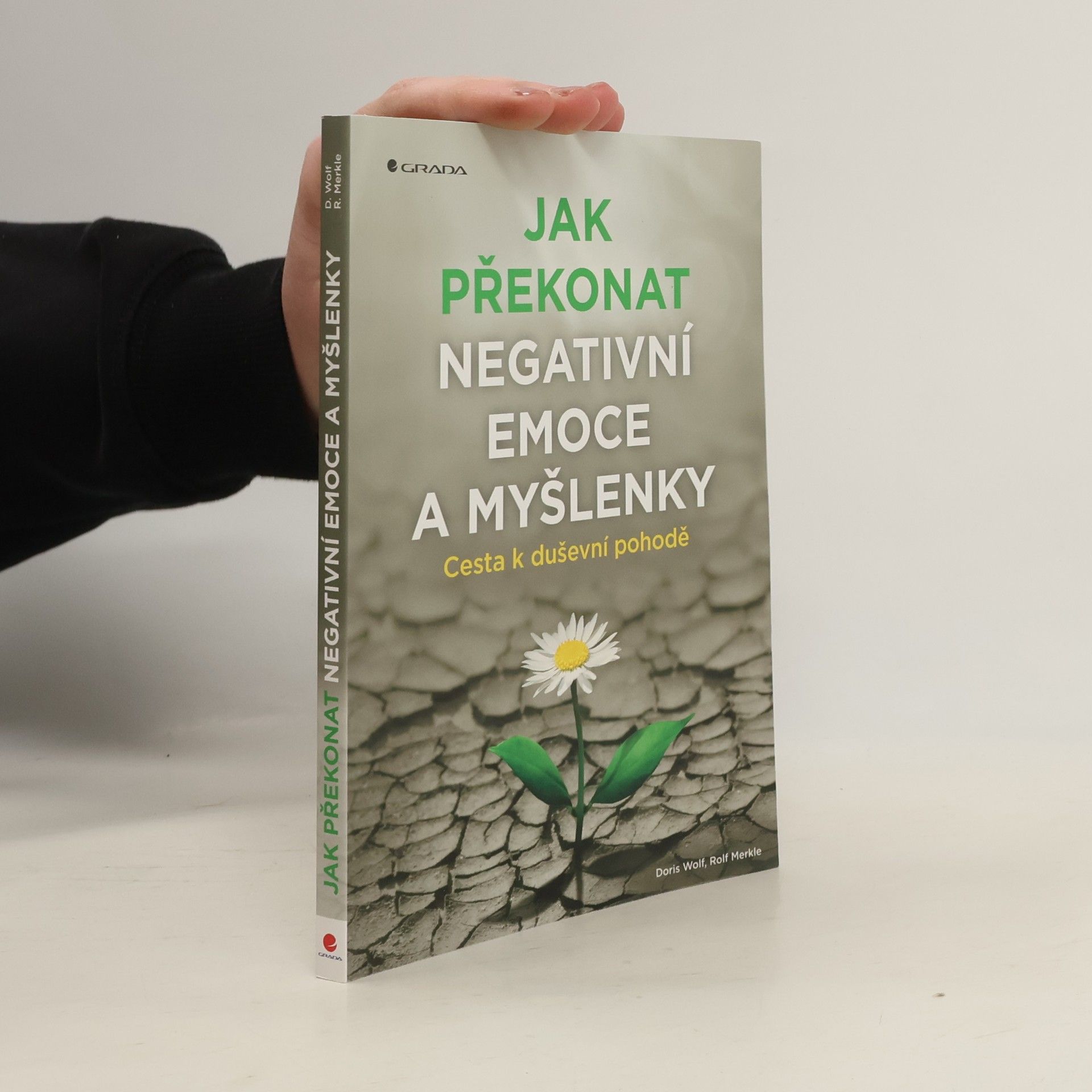 Doris Wolf Jak překonat negativní emoce a myšlenky : cesta k duševní pohodě