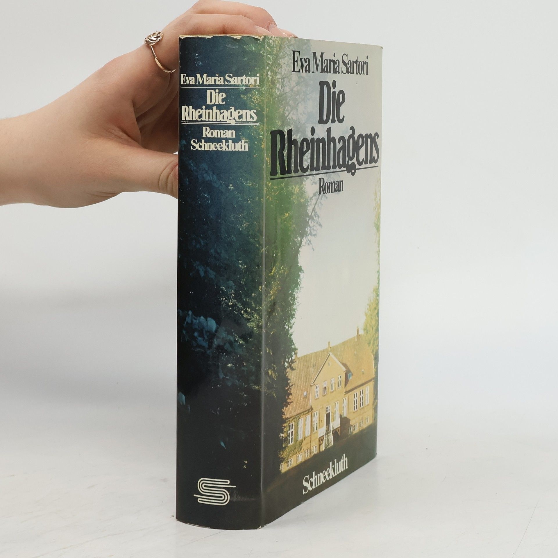 Die Rheinhagens. Roman
