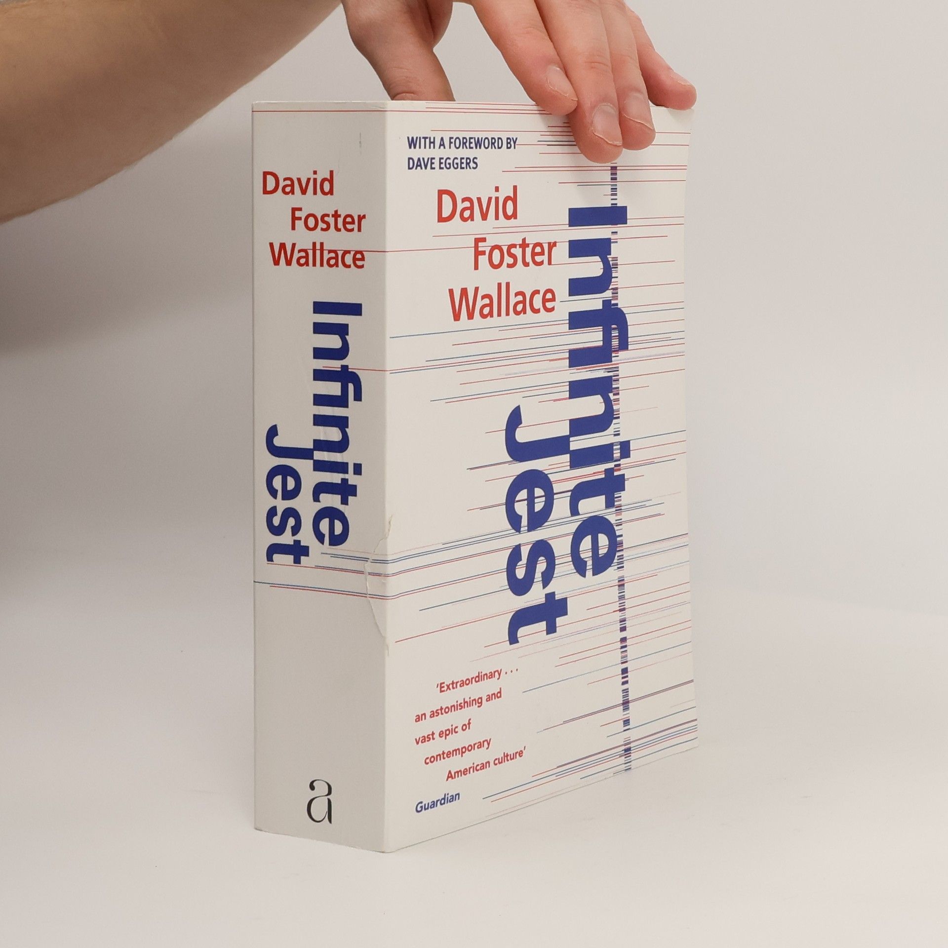 David Foster Wallace Infinite Jest