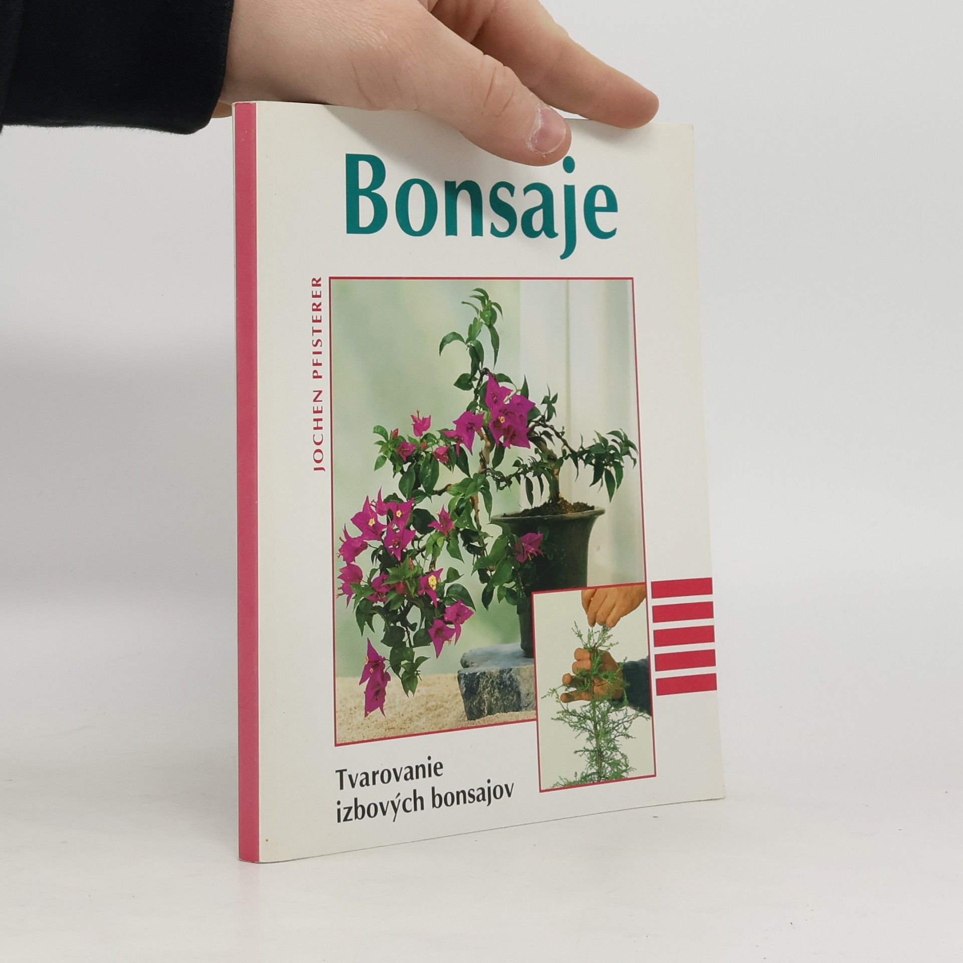 Jochen Pfisterer Bonsaje