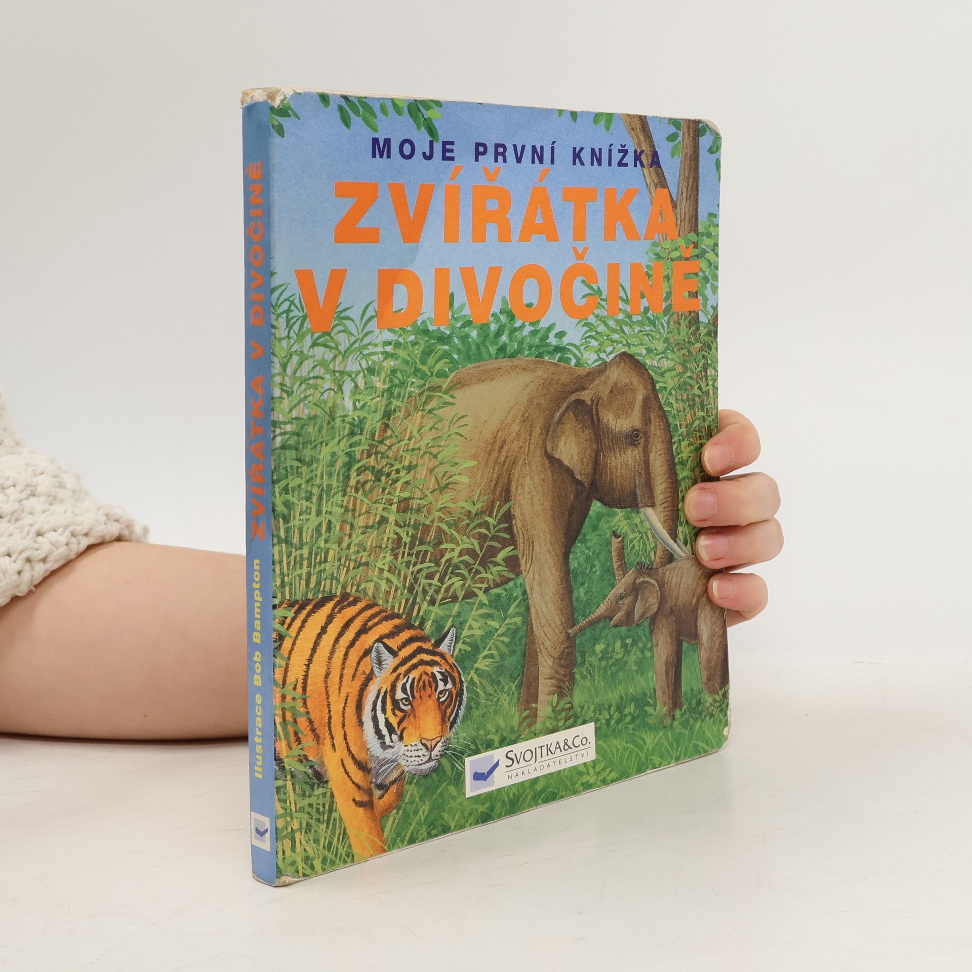 Collectif d'auteurs Zvířátka v divočině