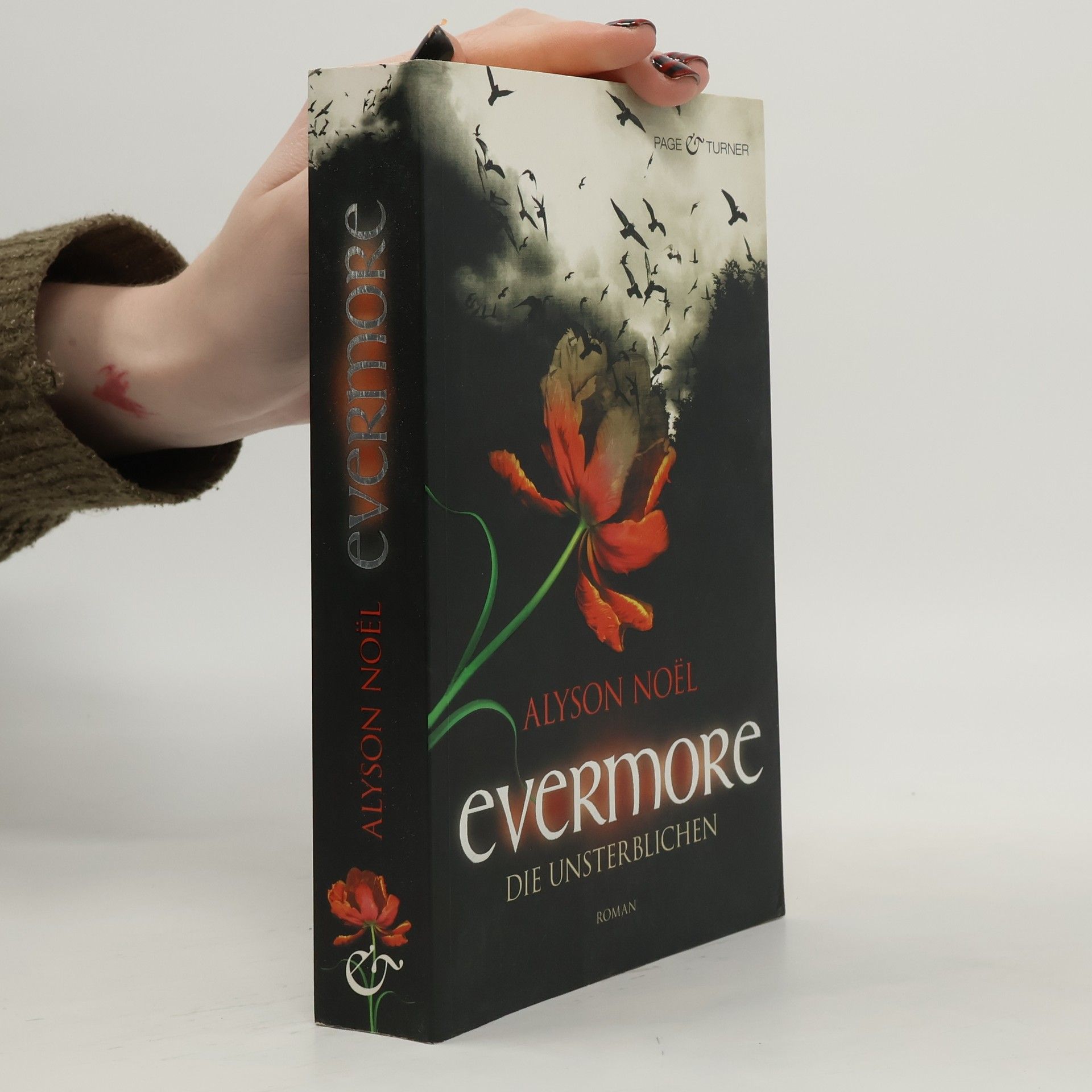 Alyson Noë͏l Evermore 1