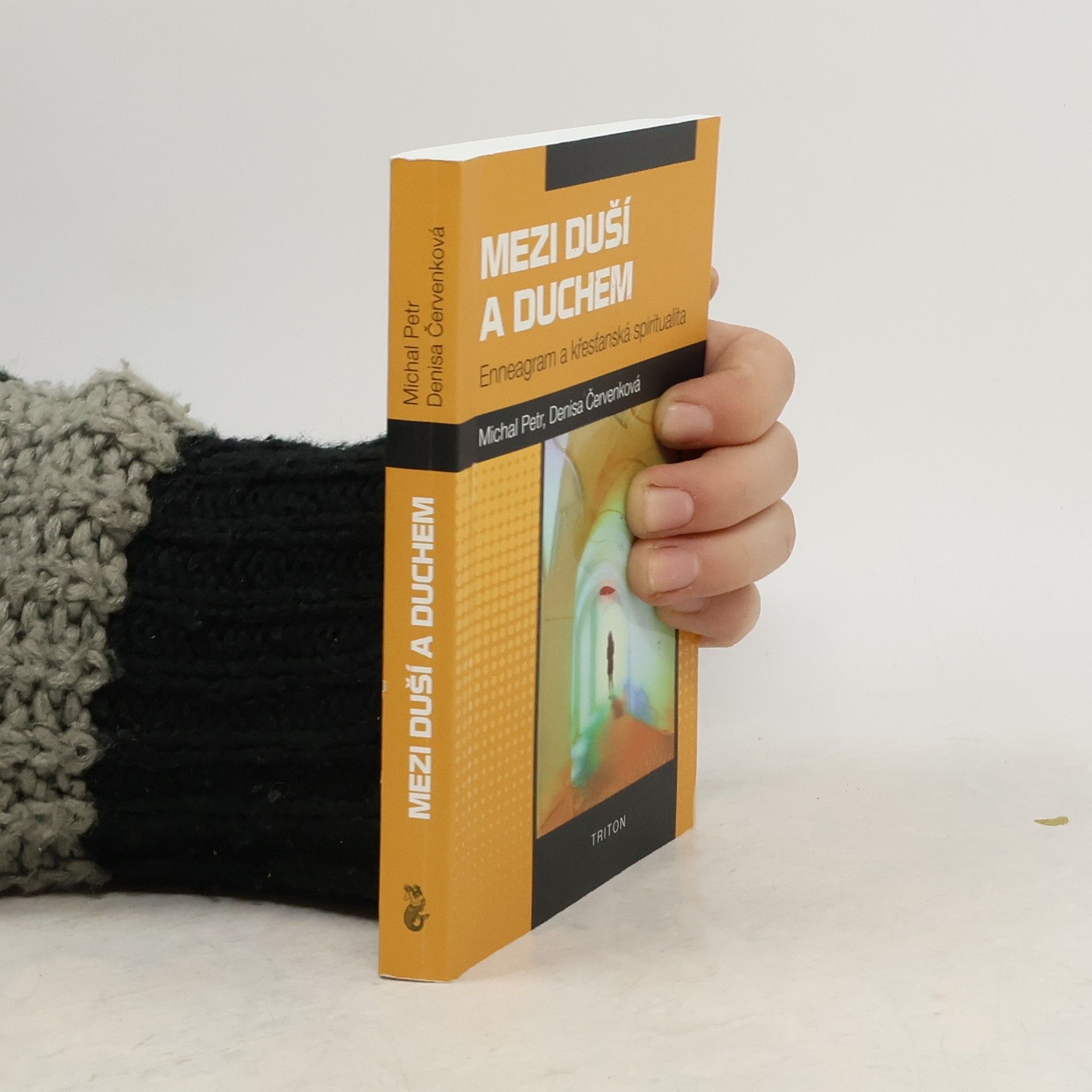 Mezi duší a duchem. Enneagram a křesťanská spiritualita.