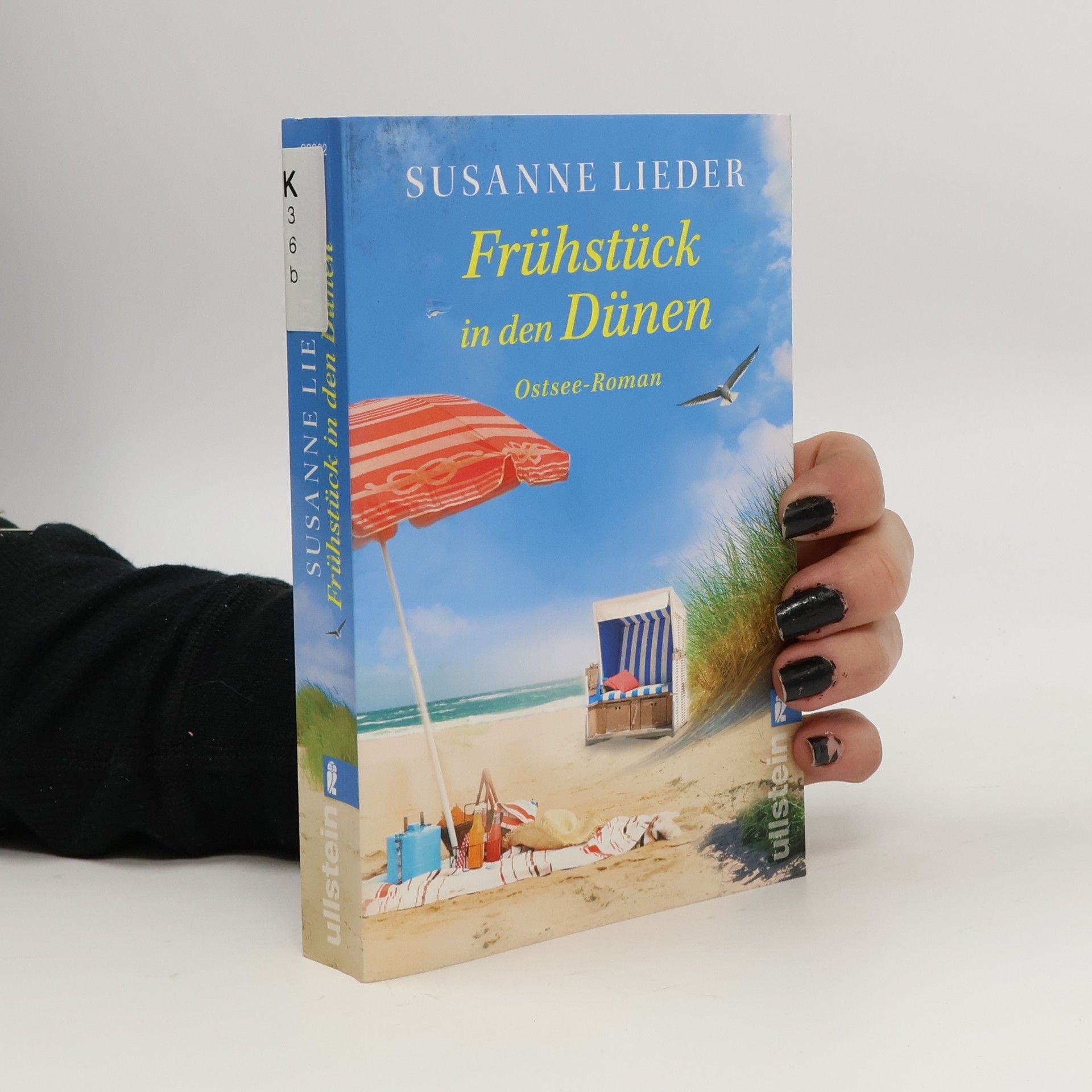 Susanne Lieder Frühstück in den Dünen