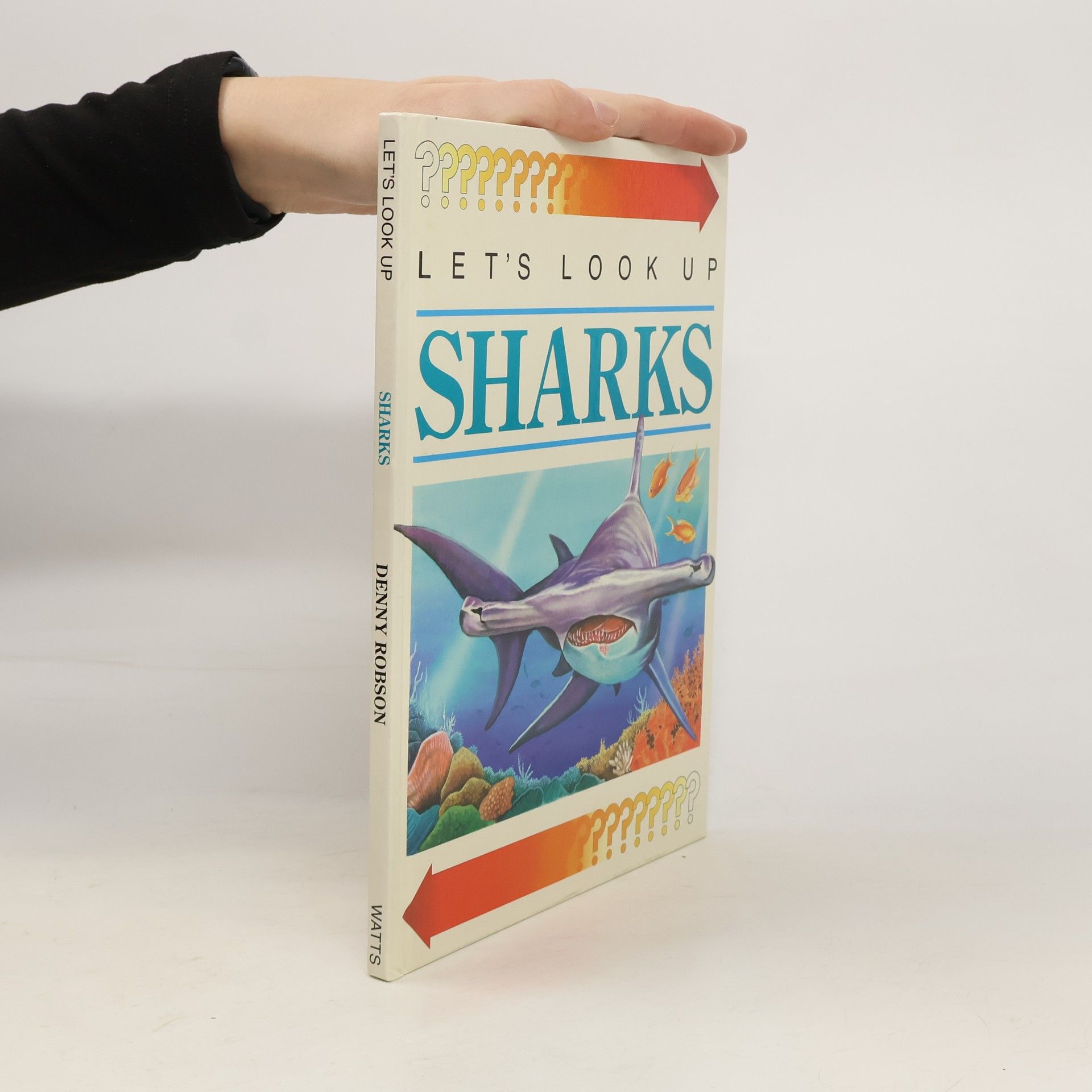 Let's Look Up: Sharks