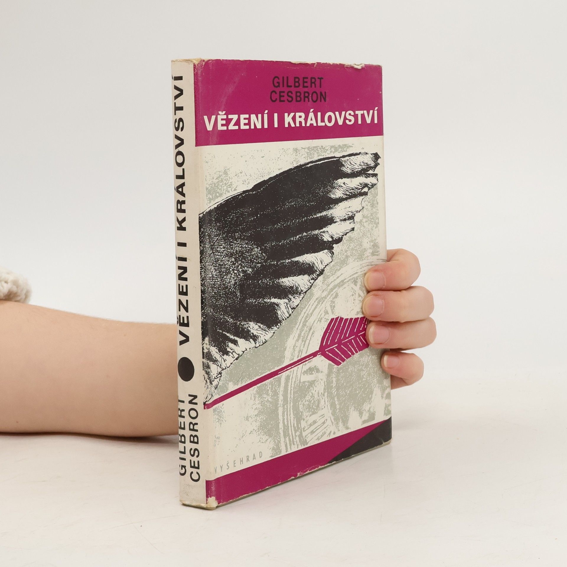 Vladimír Binar Vězení i království