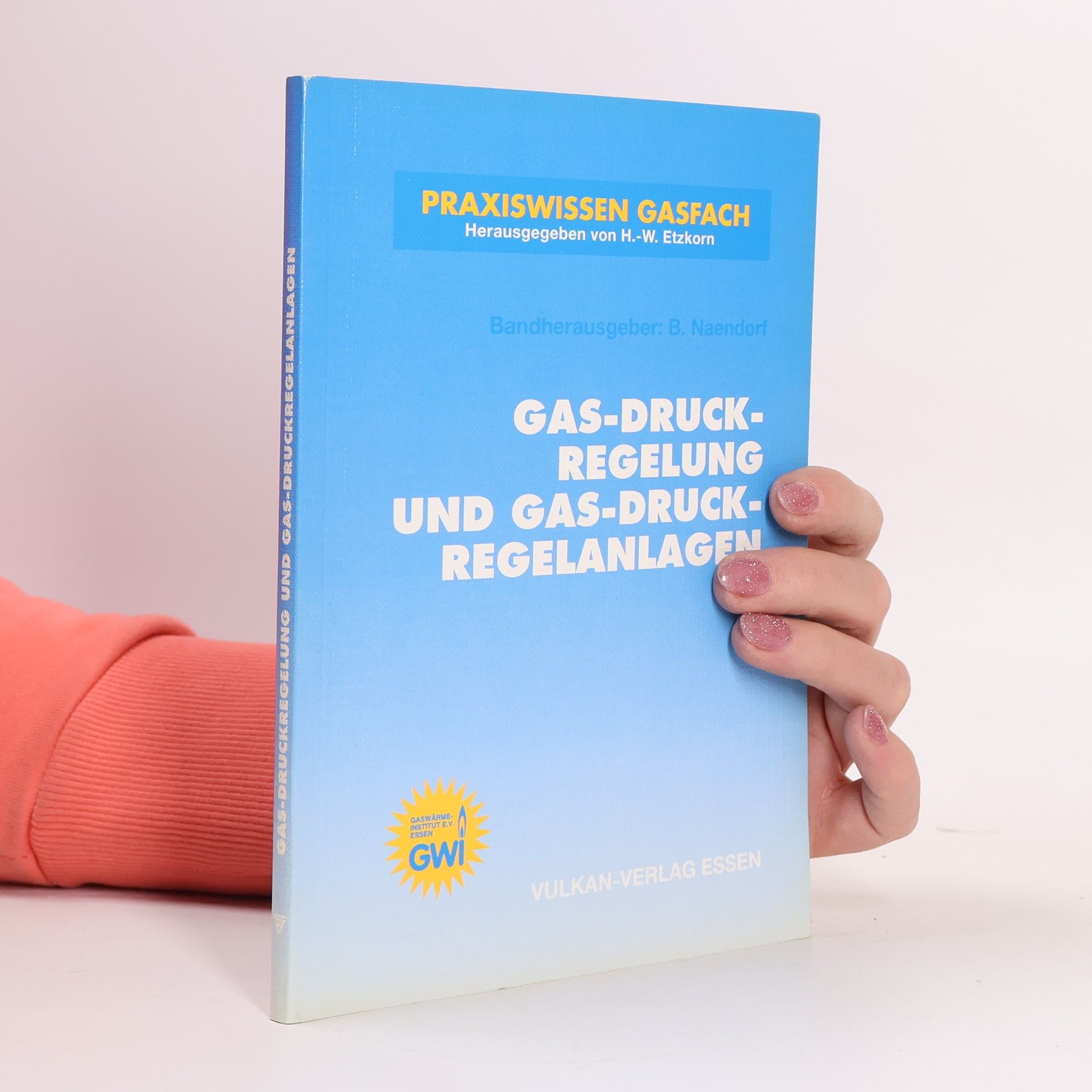 Bernhard Naendorf Praxiswissen Gasfach: Gas-Druckregelung und Gas-Druckregelanlagen