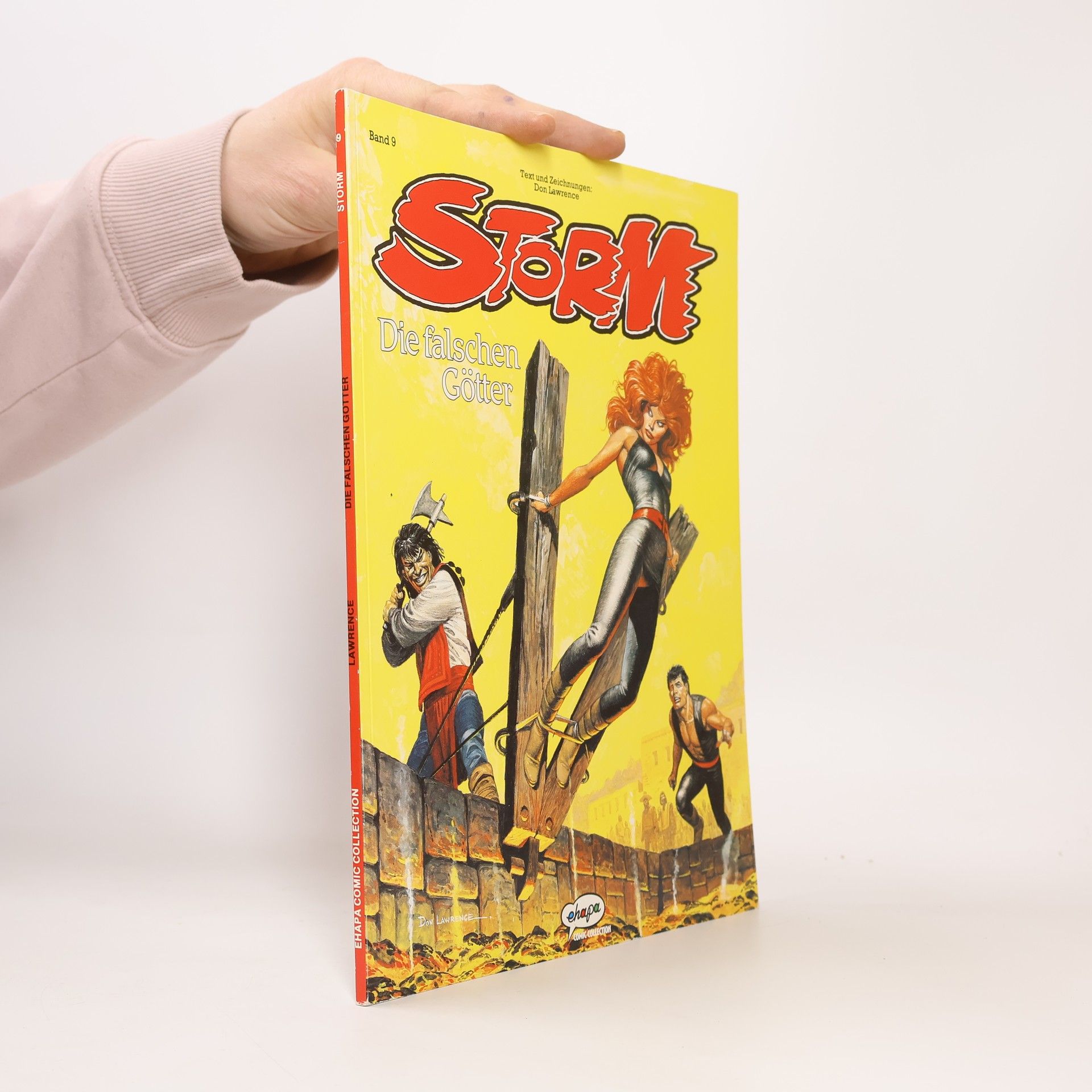 Don Lawrence Storm - 9: Die falschen Götter