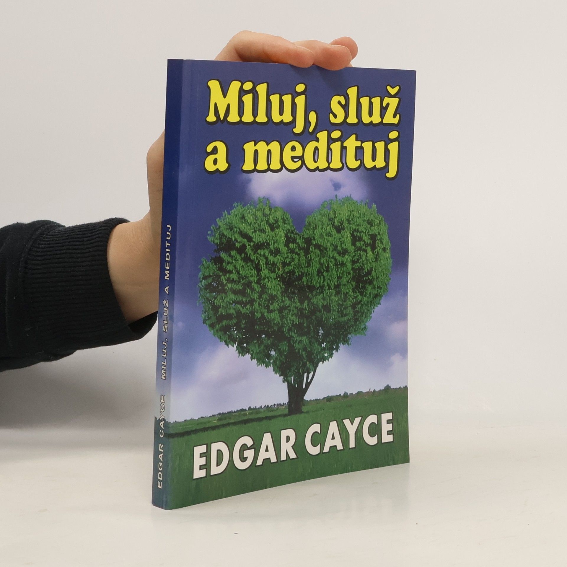 Miluj, služ a medituj