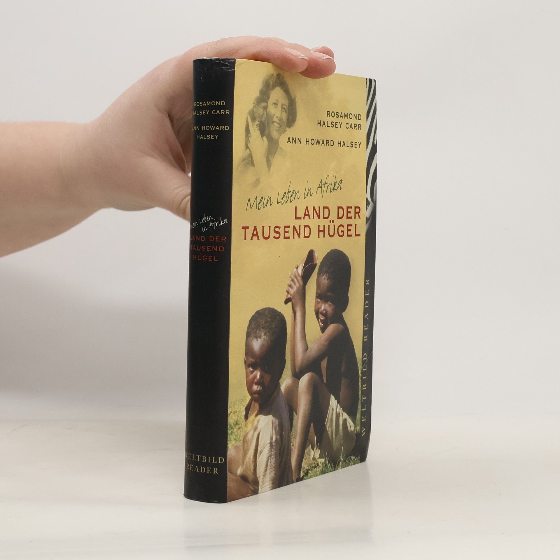 Rosamon Halsey Carr Land der tausend Hügel
