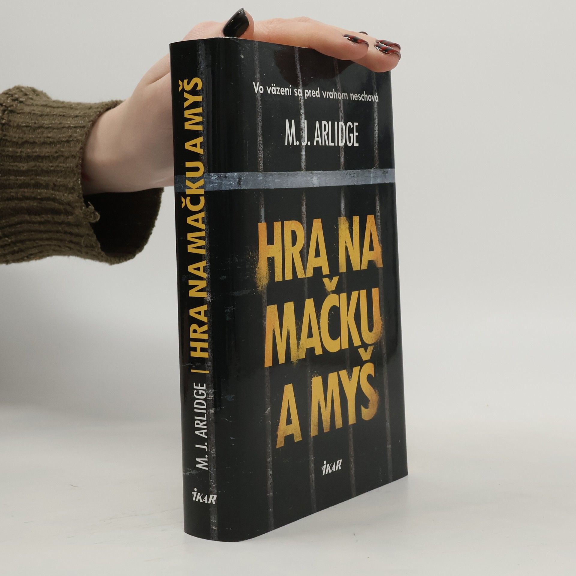 M. J. Arlidge Hra na mačku a myš