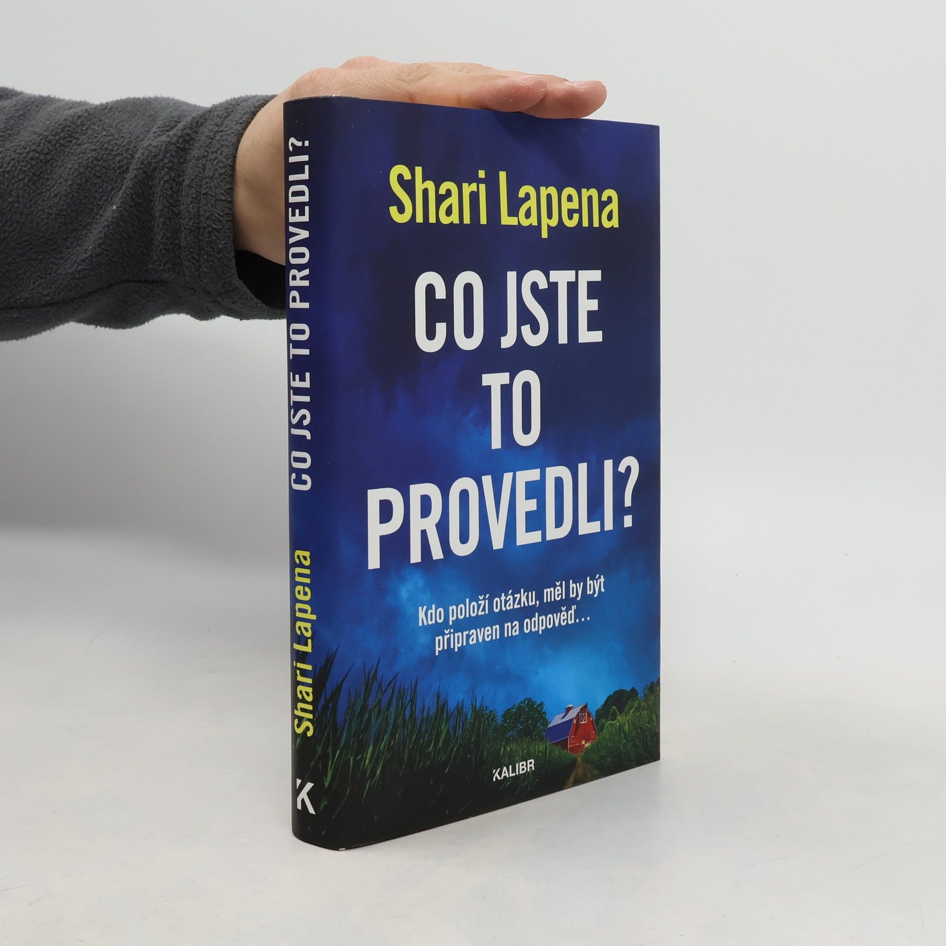 Shari Lapena Co jste to provedli?
