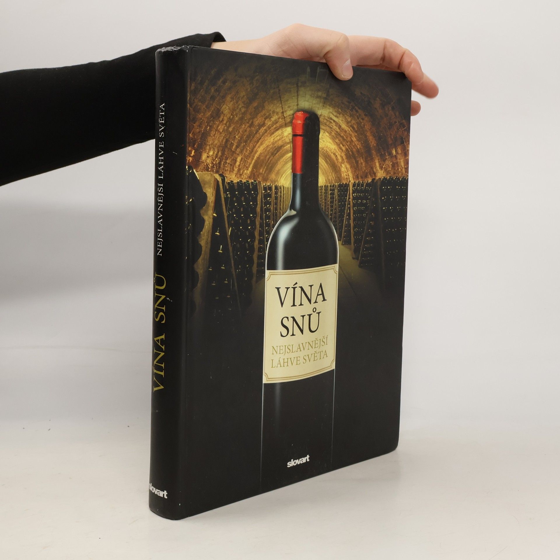 Sylvie Girard-Lagorce Vína snů