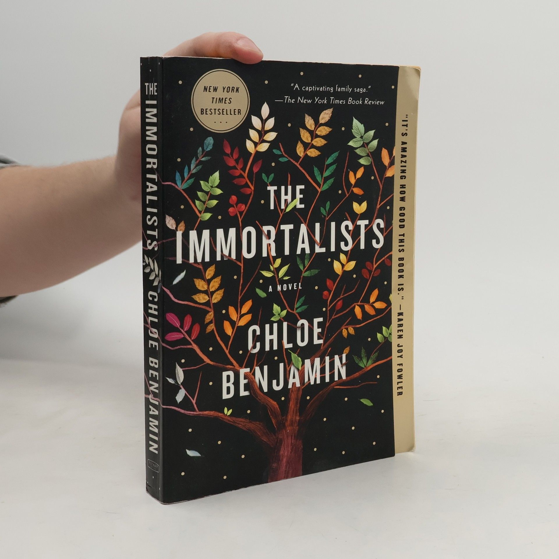 Chloe Benjamin The Immortalists