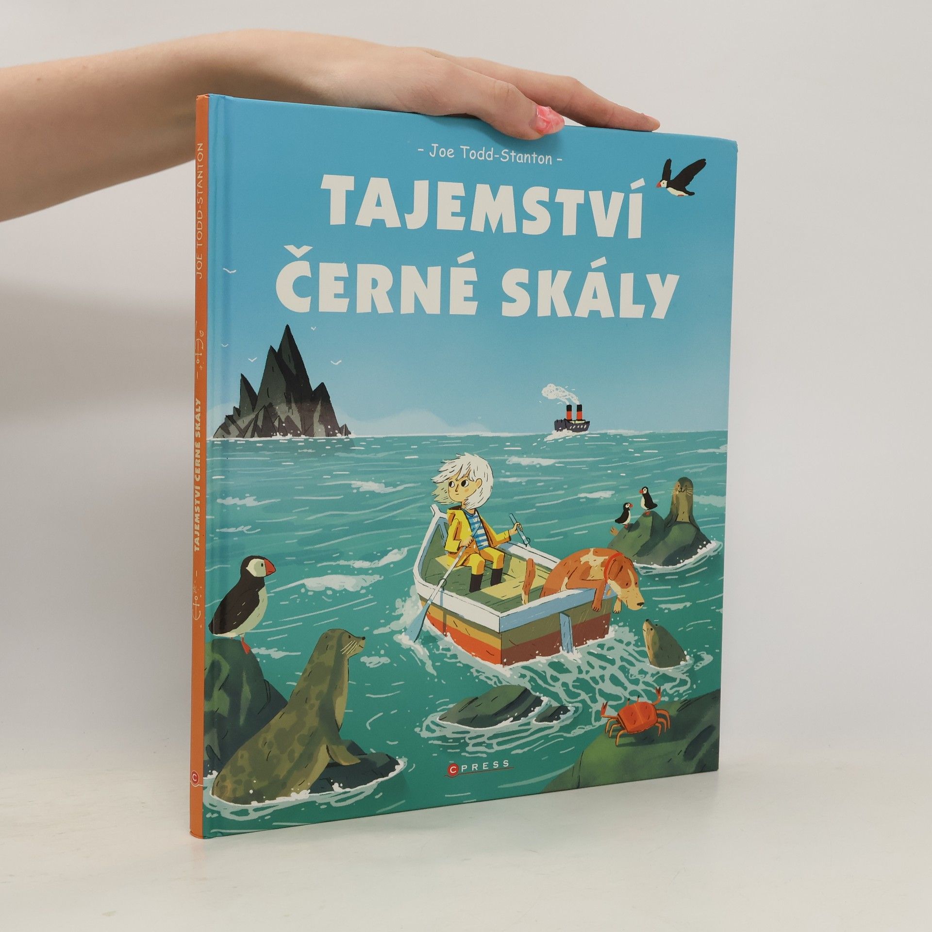 Joe Todd-Stanton Tajemství černé skály