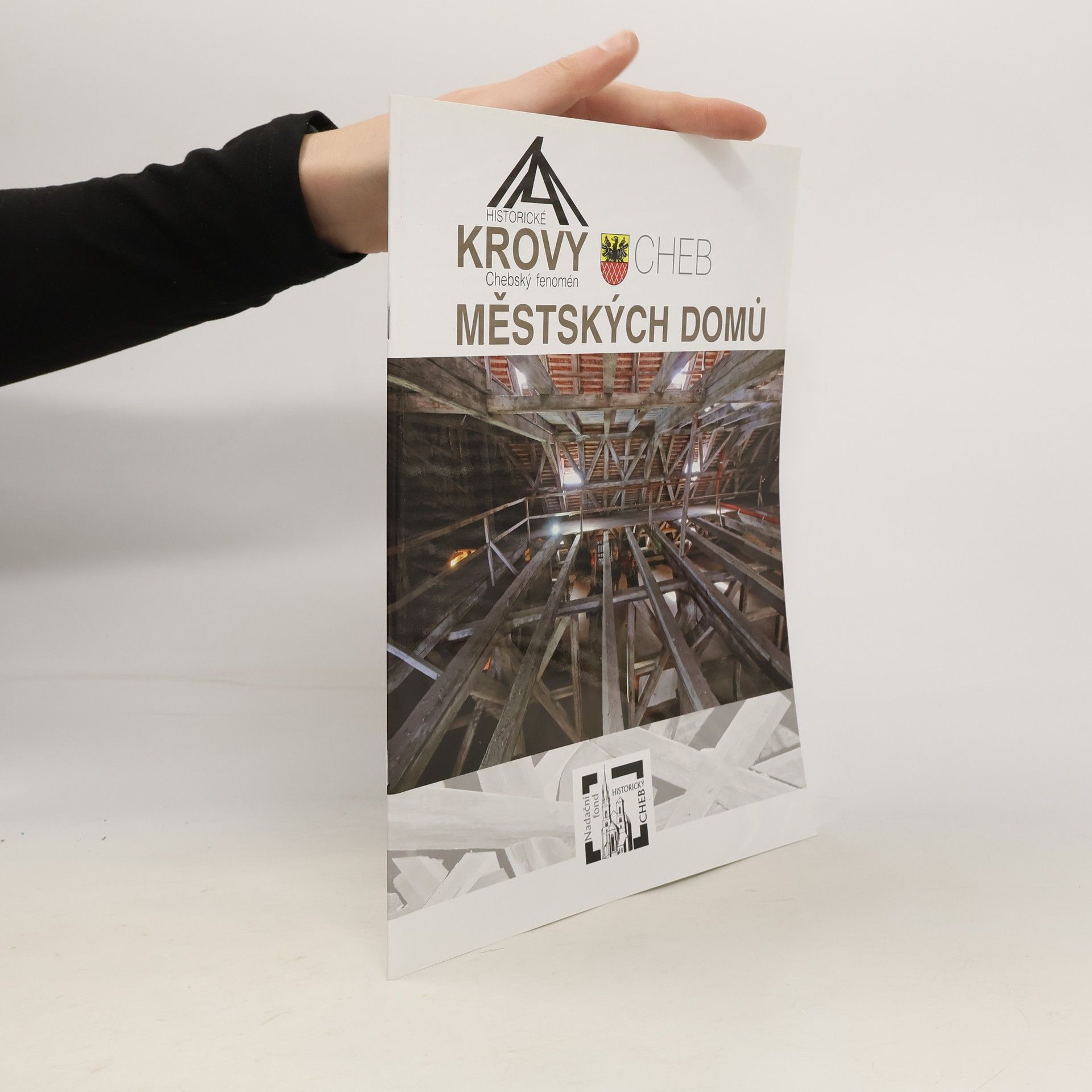 Michal Panáček Historické krovy městských domů
