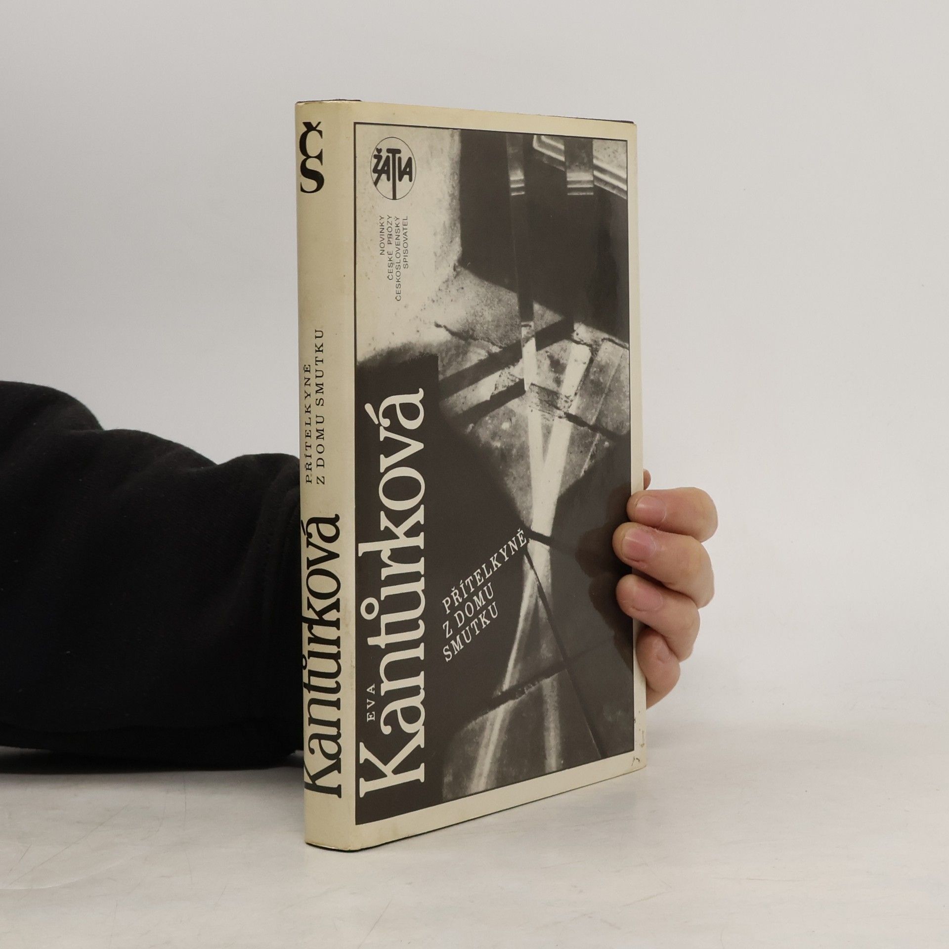 Eva Kantůrková Přítelkyně z domu smutku