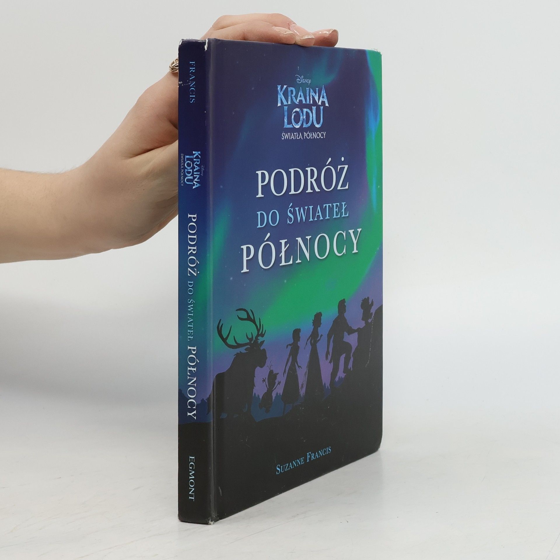 Suzanne Francis Kraina Lodu: Światła Północy: Podróż do Świateł Północy
