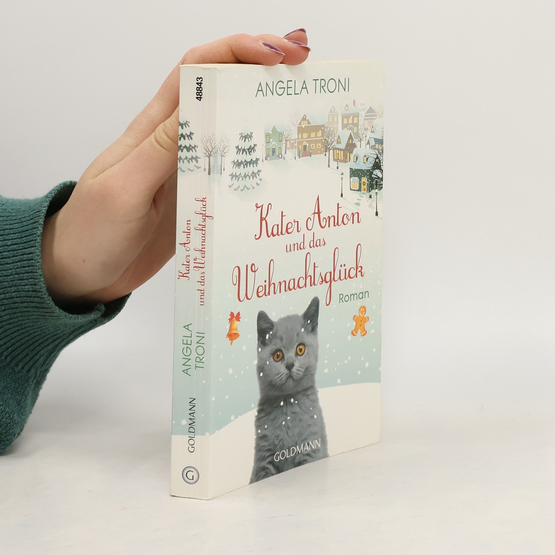 Kater Anton und das Weihnachtsglück