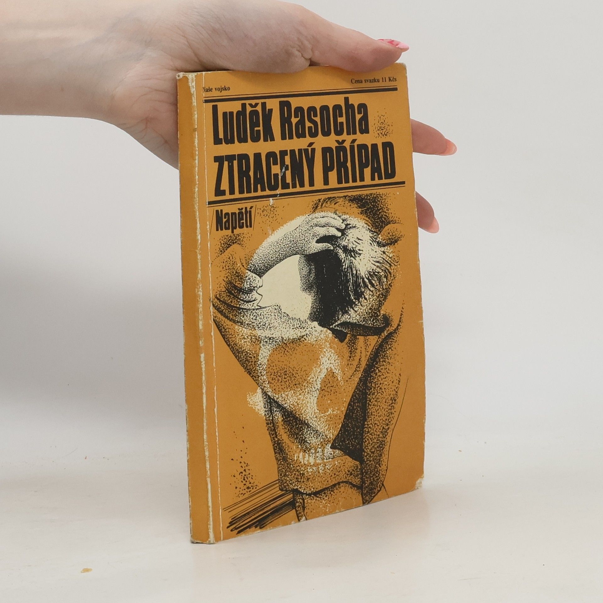 Luděk Rasocha Ztracený případ