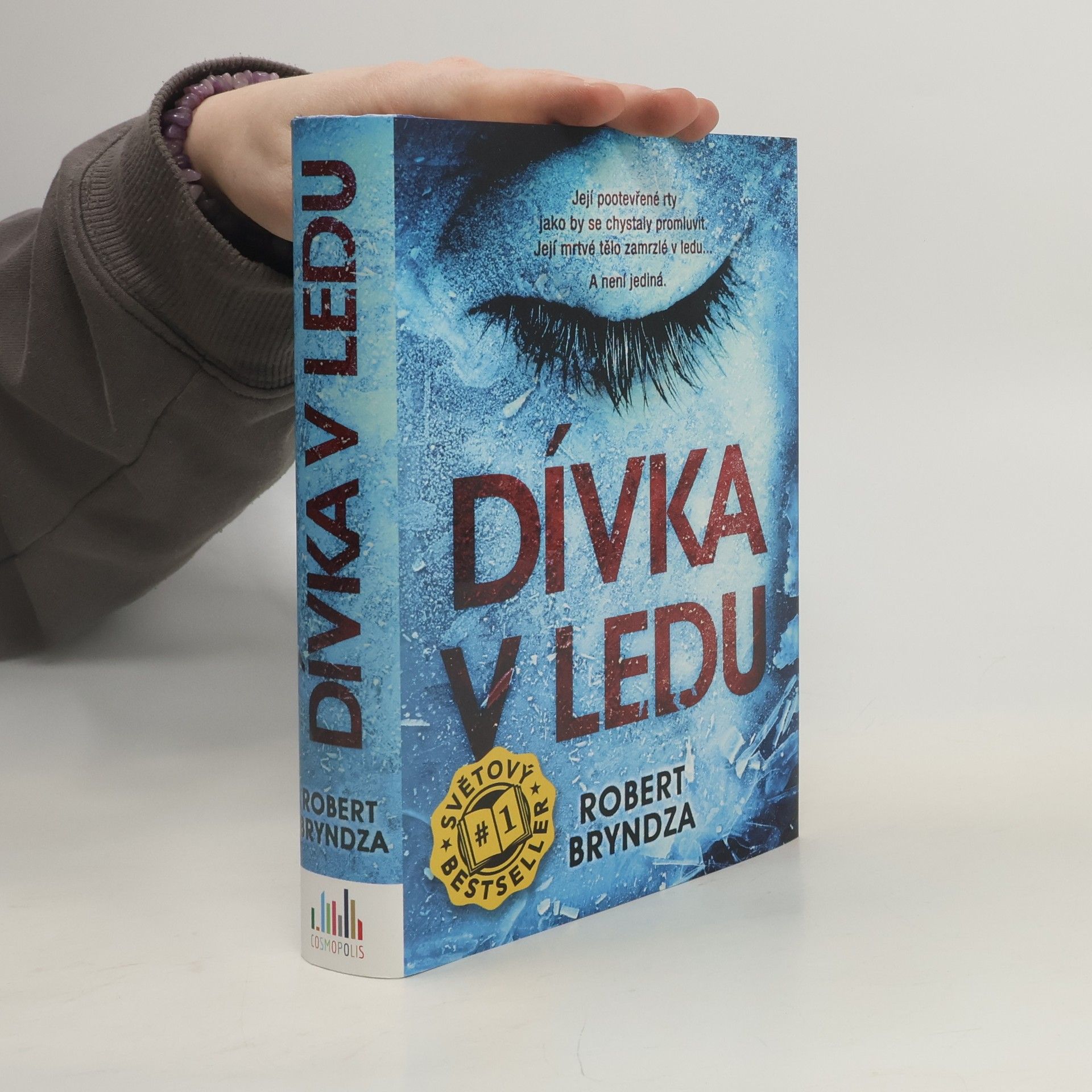 Robert Bryndza Dívka v ledu
