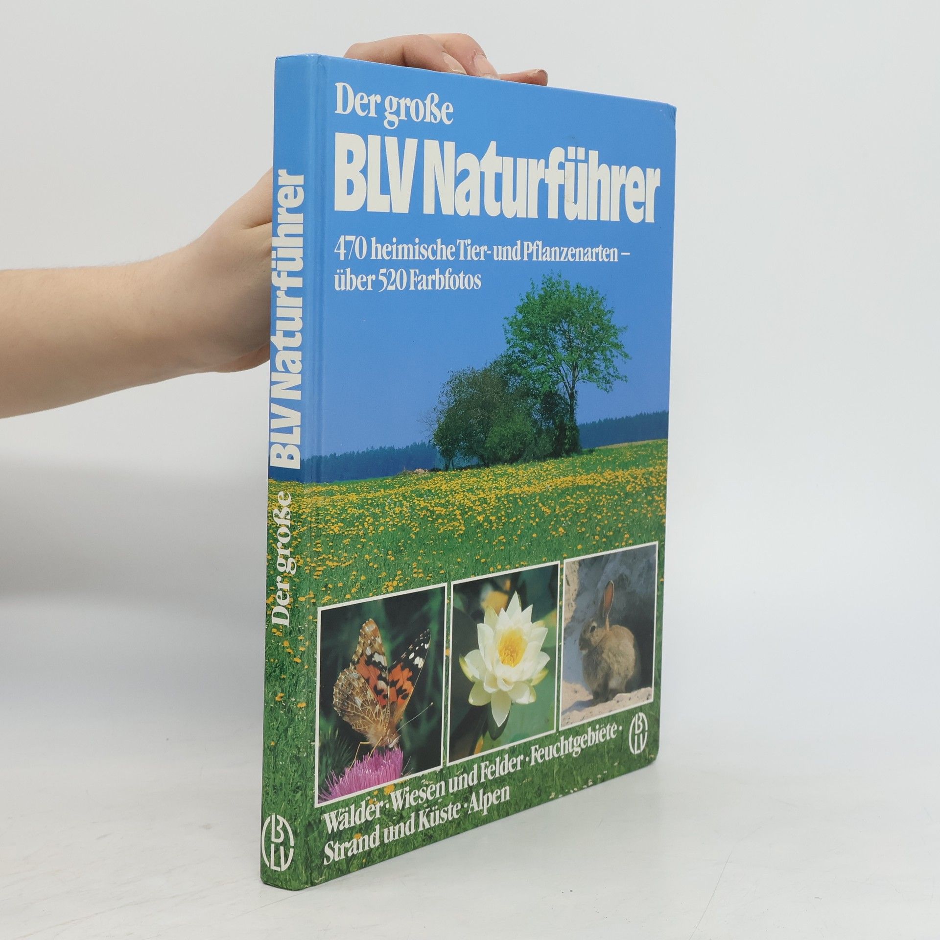 Autorenkollektiv Der große BLV Naturführer