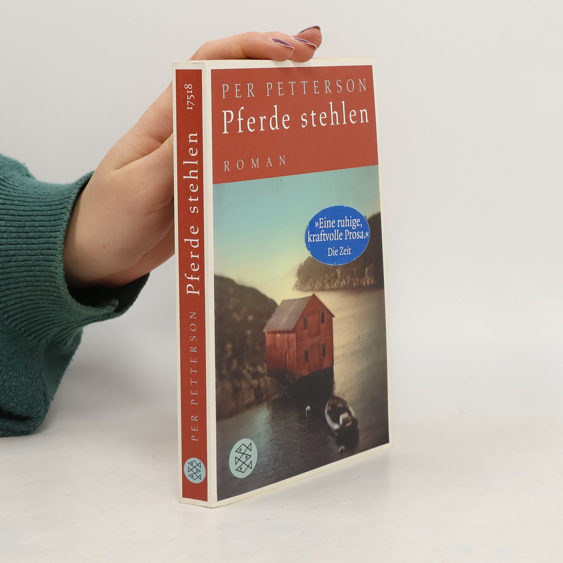 Per Petterson Pferde stehlen