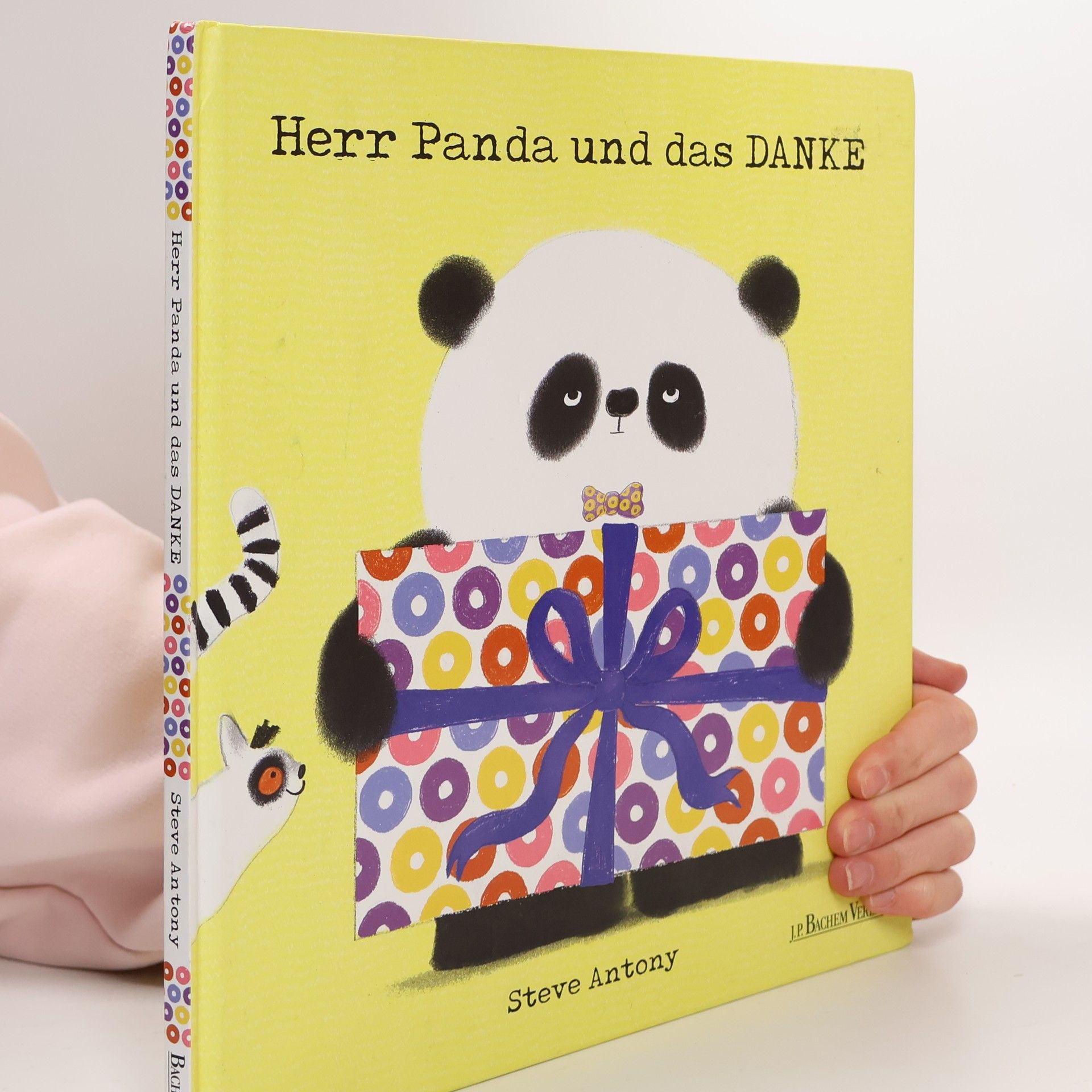 Steve Antony Herr Panda und das Danke