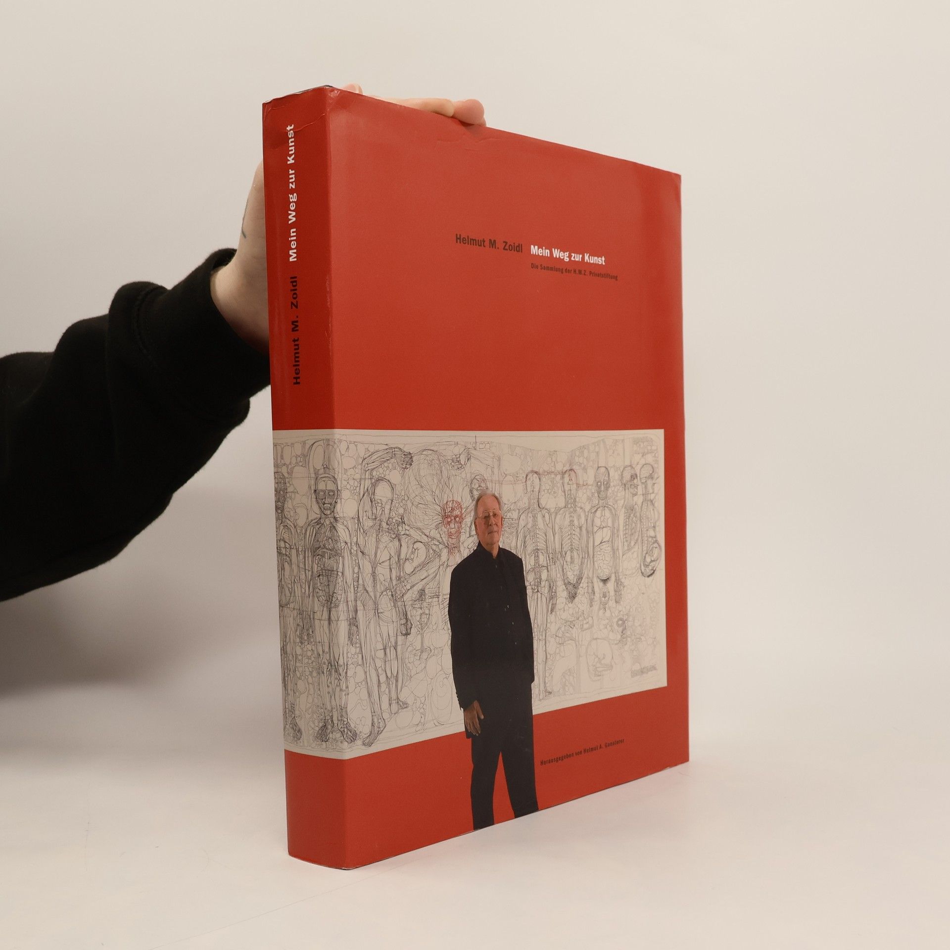 Helmut M. Zoidl Mein Weg zur Kunst