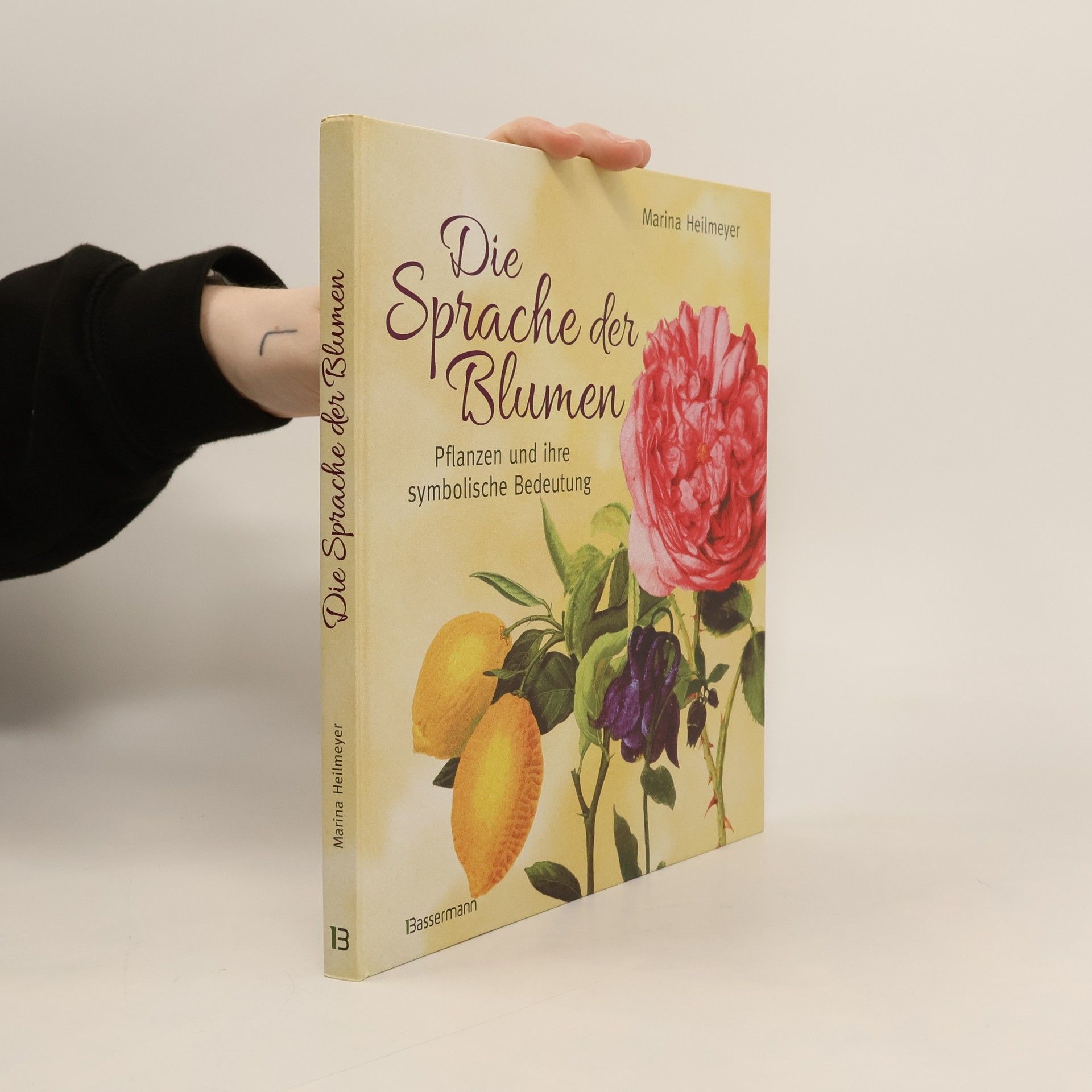 Marina Heilmeyer Die Sprache der Blumen