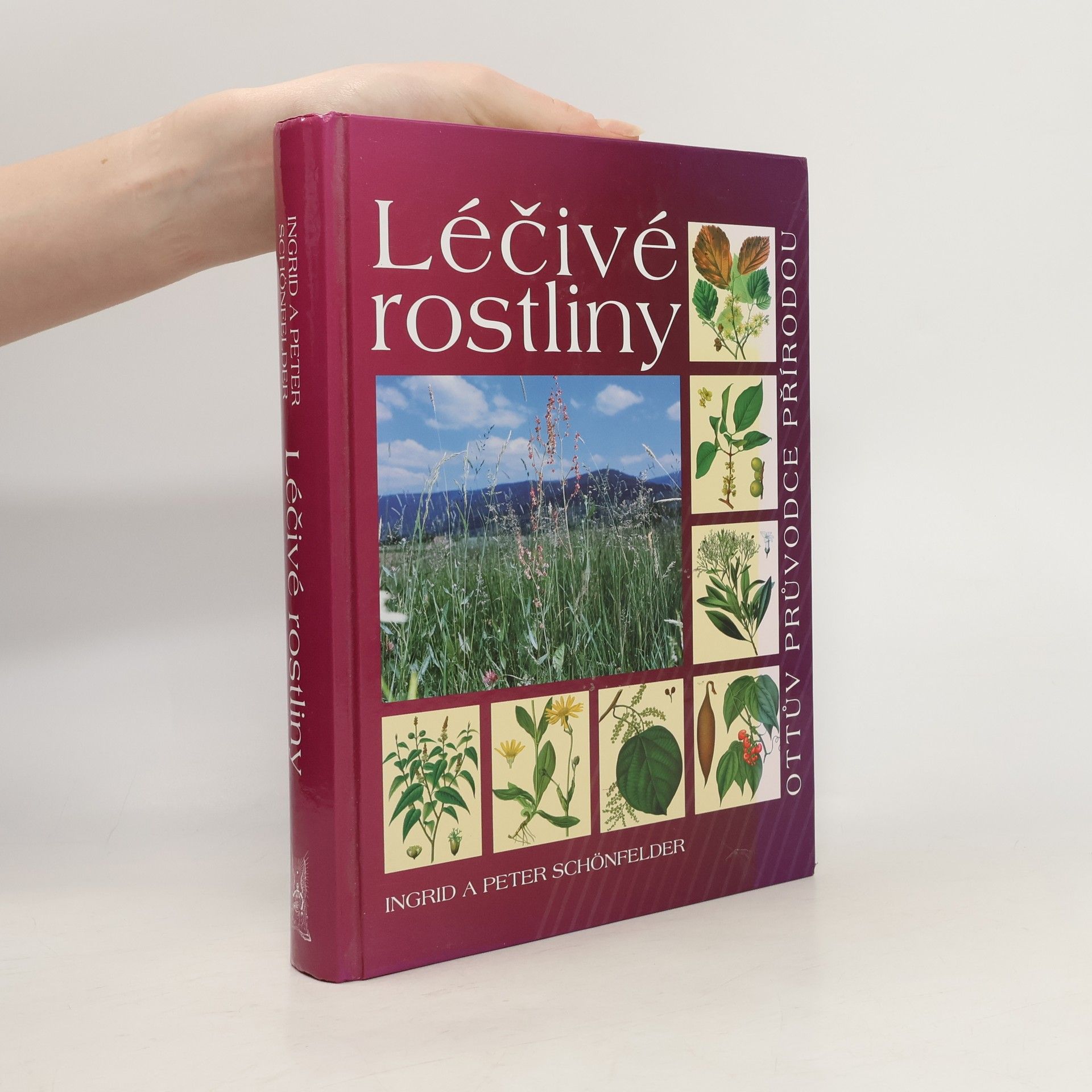 Peter Schönfelder Léčivé rostliny