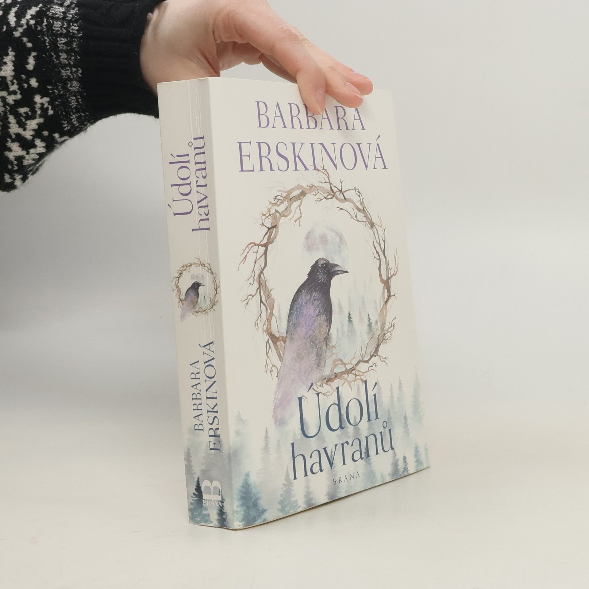 Barbara Erskinová Údolí havranů