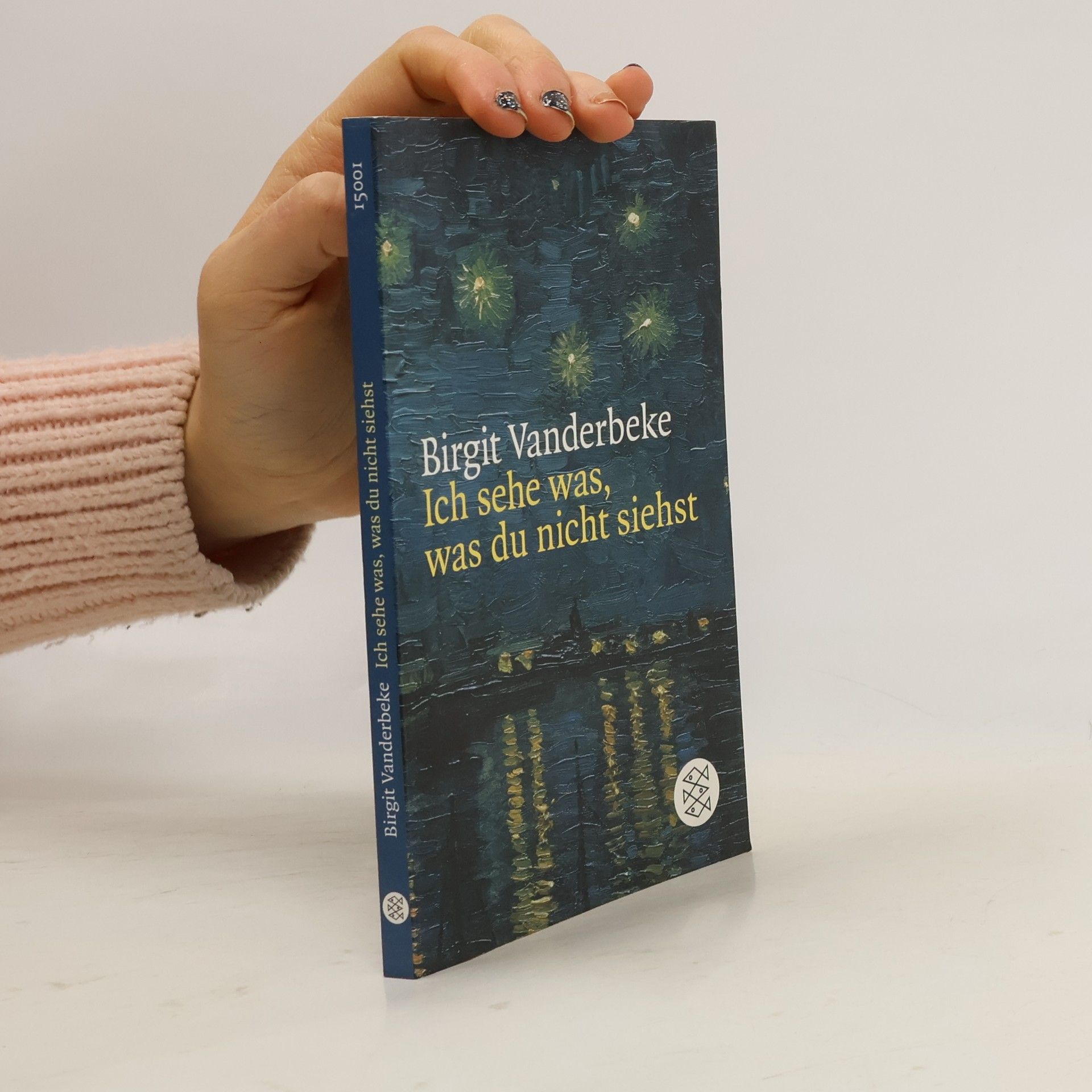 Birgit Vanderbeke Ich sehe was, was du nicht siehst