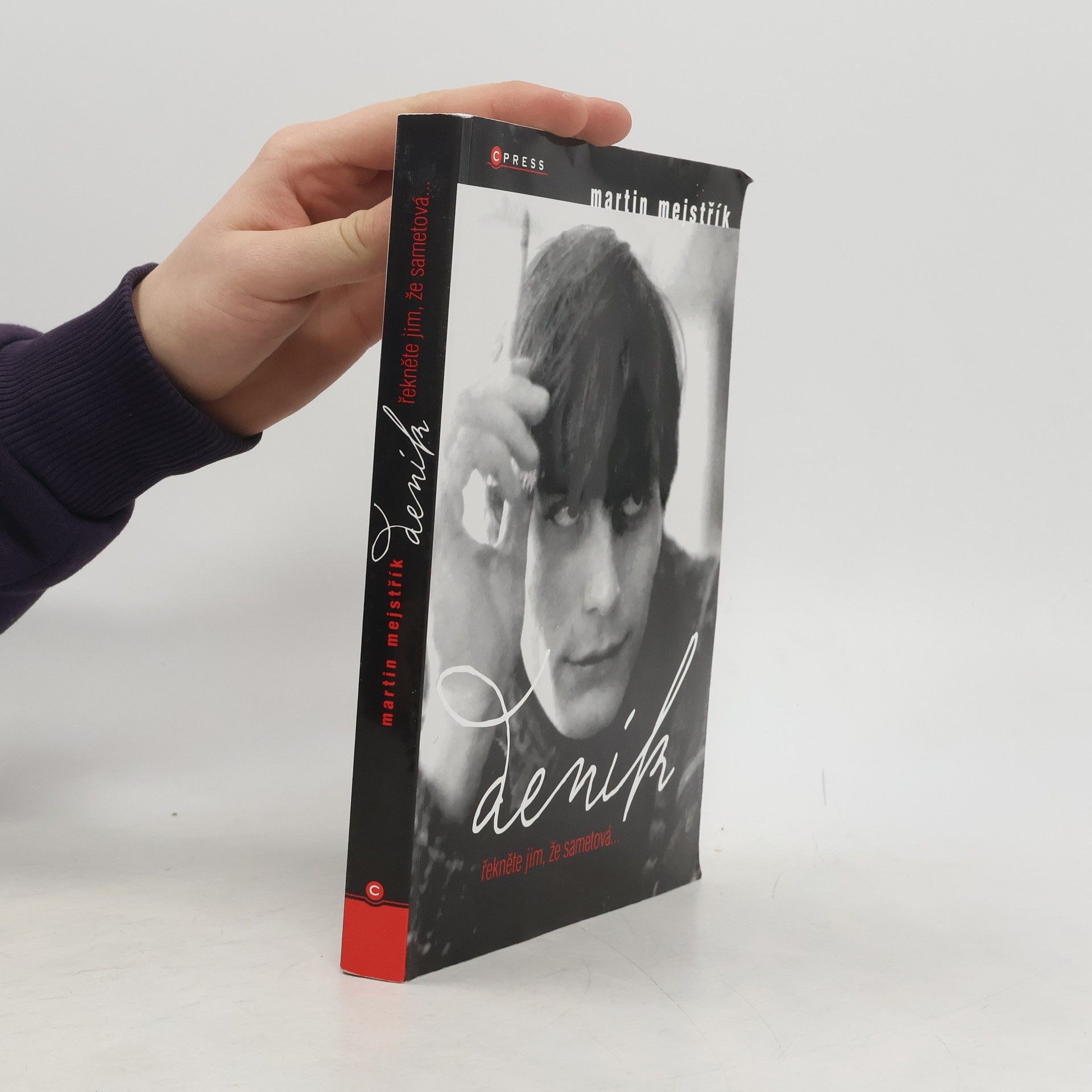 Martin Mejstřík Deník. Řekněte jim, že sametová...