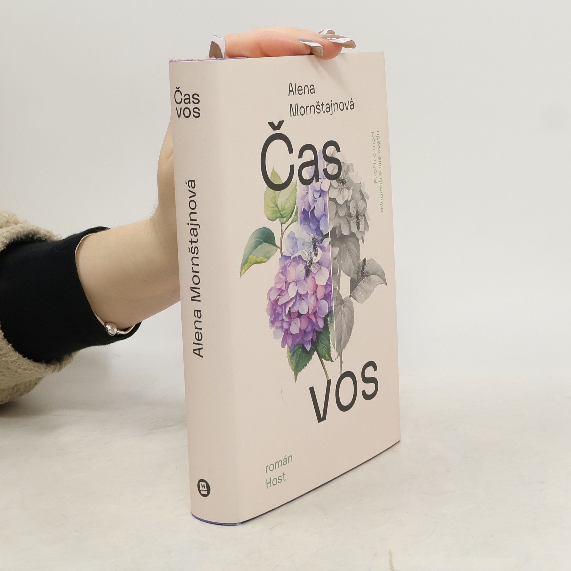 Alena Mornštajnová Čas vos
